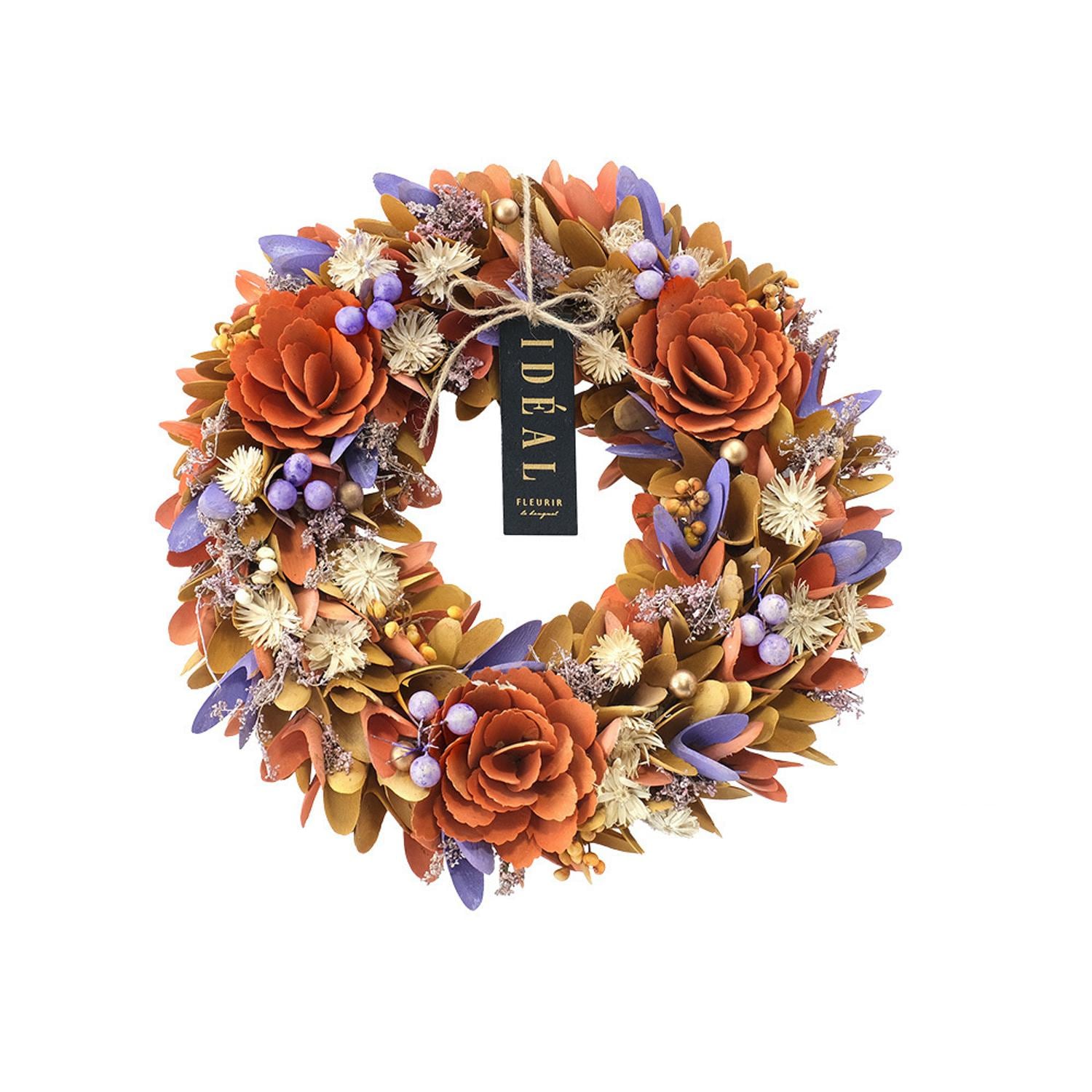 [}C]i`[X L/obN[ht@~[iBACKYARD FAMILYj ~L[I[^