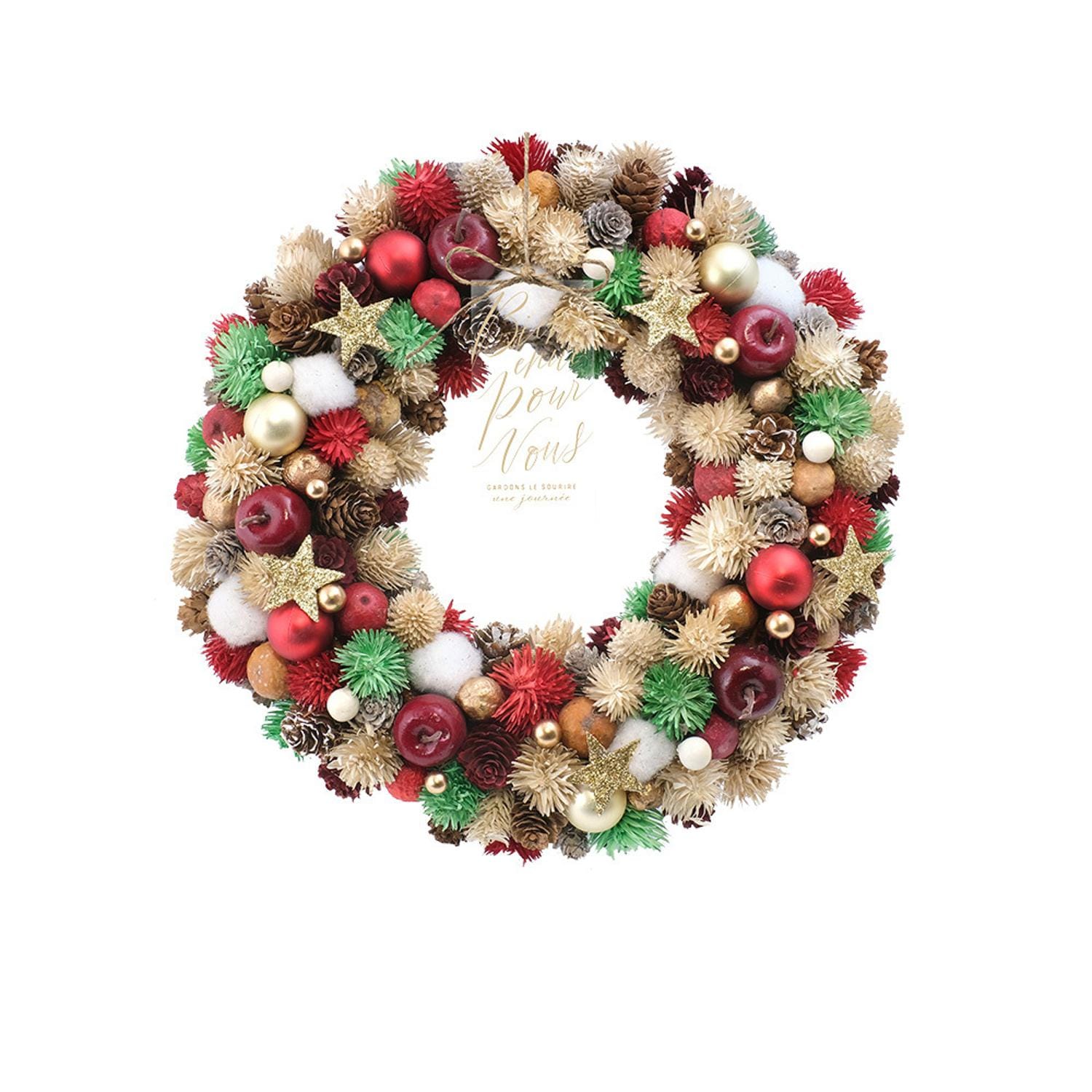 [}C]i`[X L/obN[ht@~[iBACKYARD FAMILYj zf[|bv