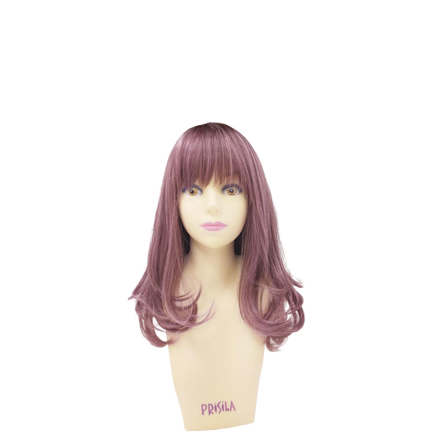 [}C]vV I[EBbO Of tJ[~fB CTA-693/obN[ht@~[iBACKYARD FAMILYj CTDP/ϔM_[Nv