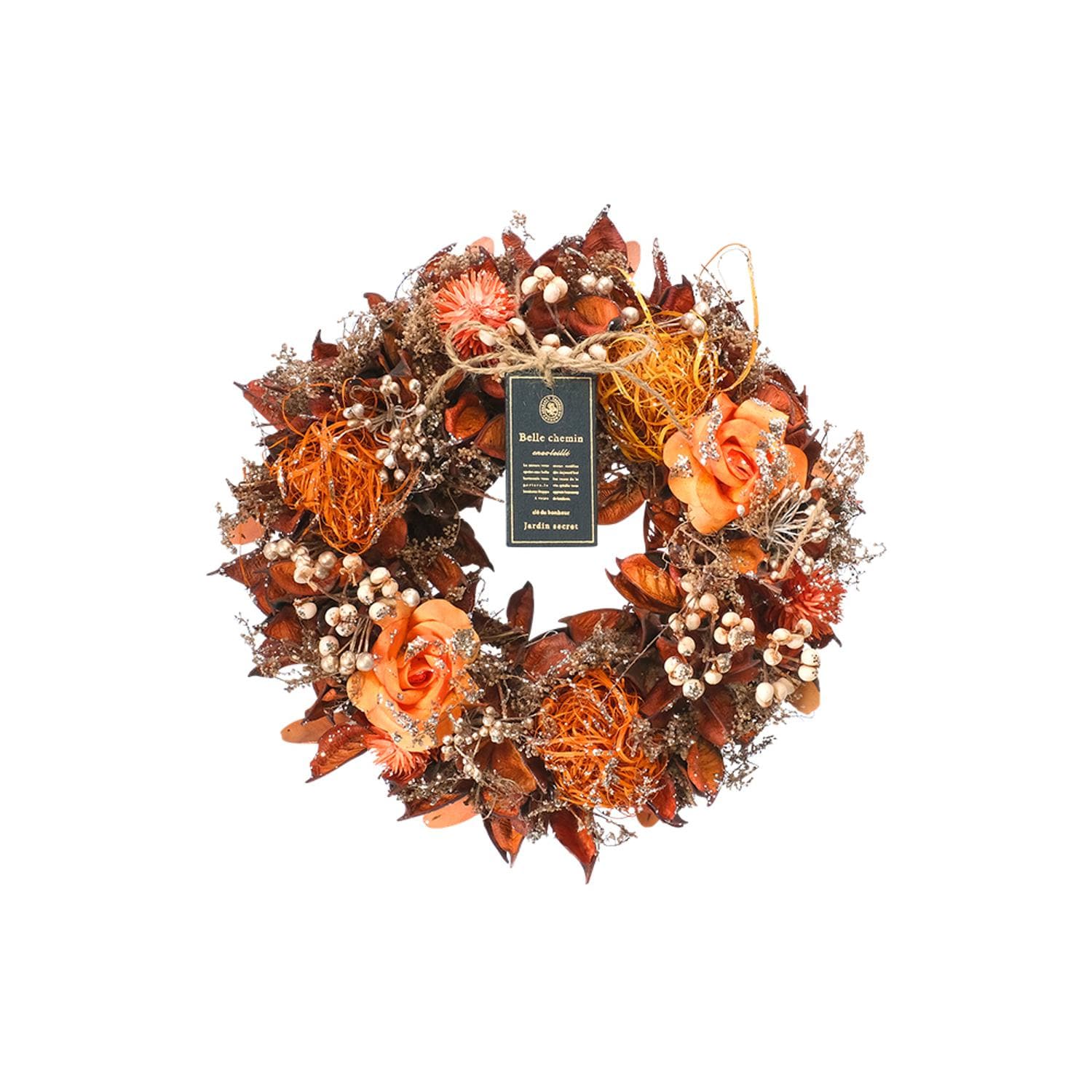 [}C]i`[X M/obN[ht@~[iBACKYARD FAMILYj IWVtHj[