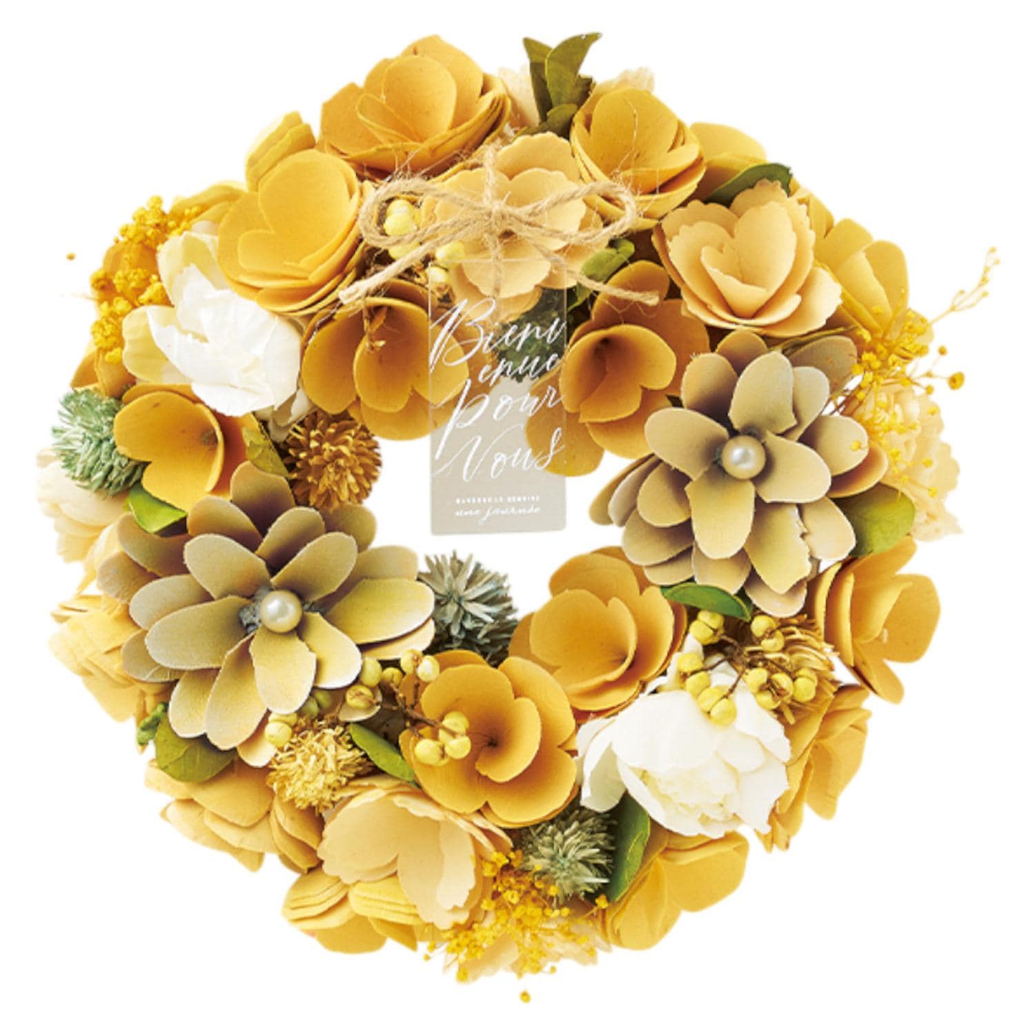 [}C]i`[X M/obN[ht@~[iBACKYARD FAMILYj N[