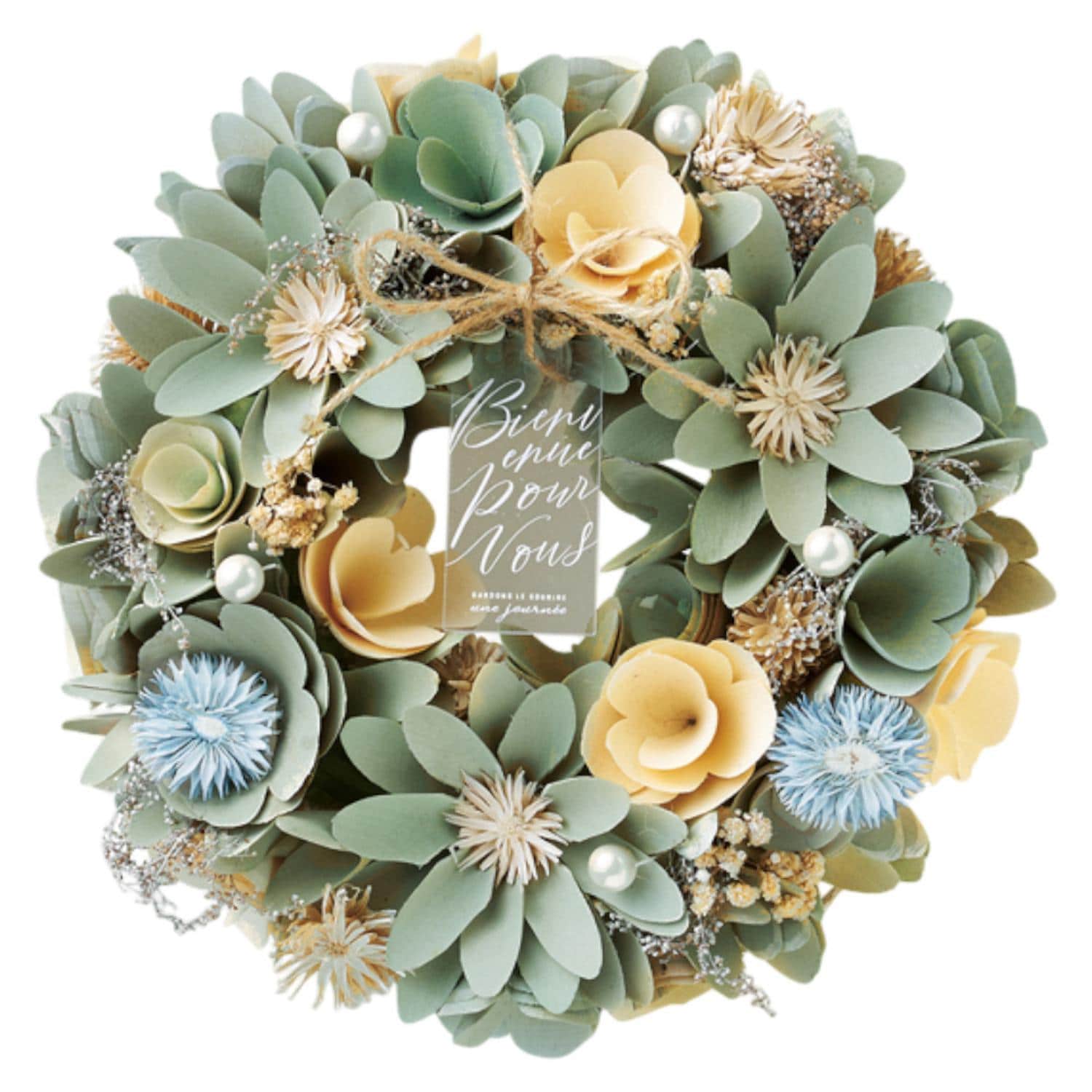 [}C]i`[X M/obN[ht@~[iBACKYARD FAMILYj O[u[Y