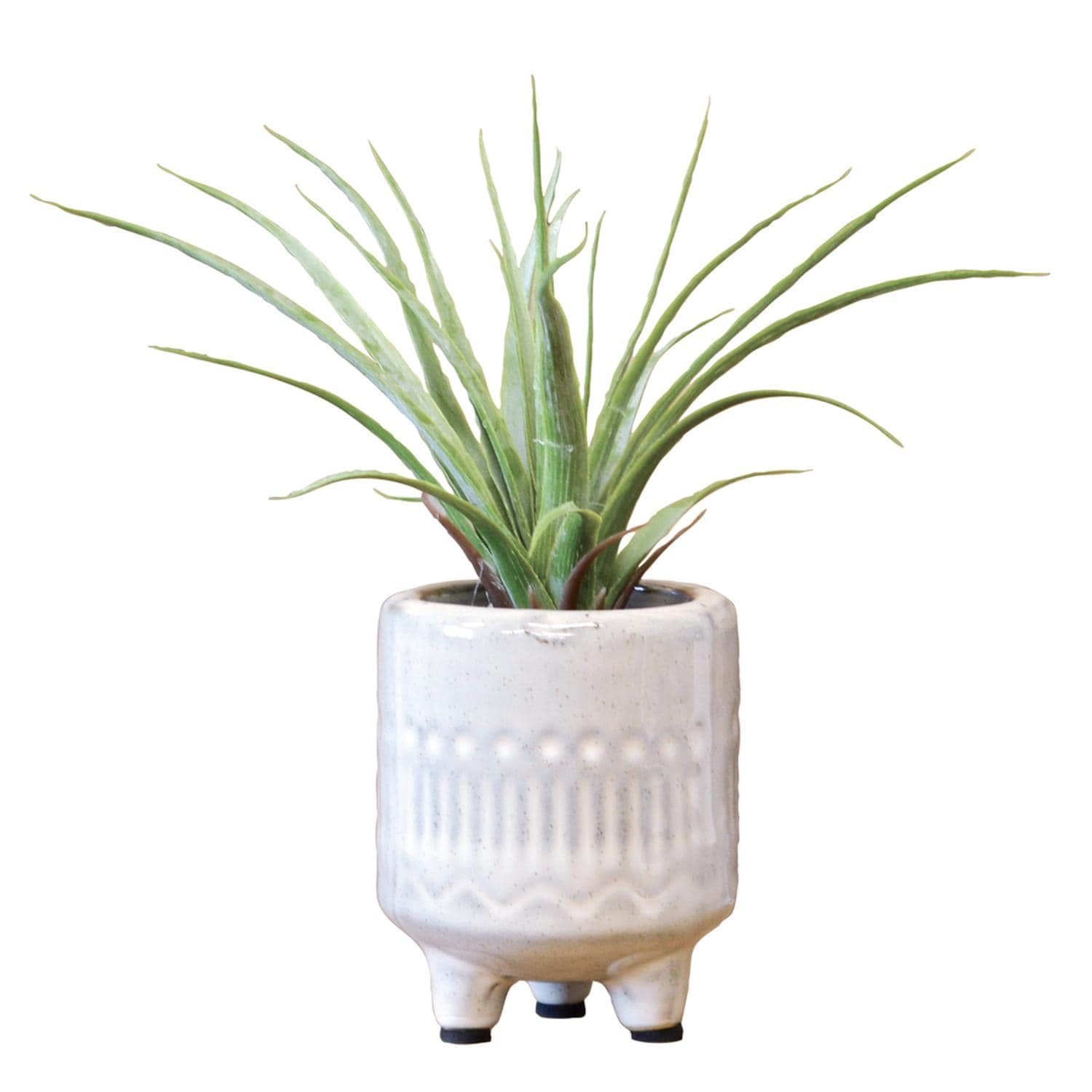 [}C]G} sG |bg/obN[ht@~[iBACKYARD FAMILYj GAvc