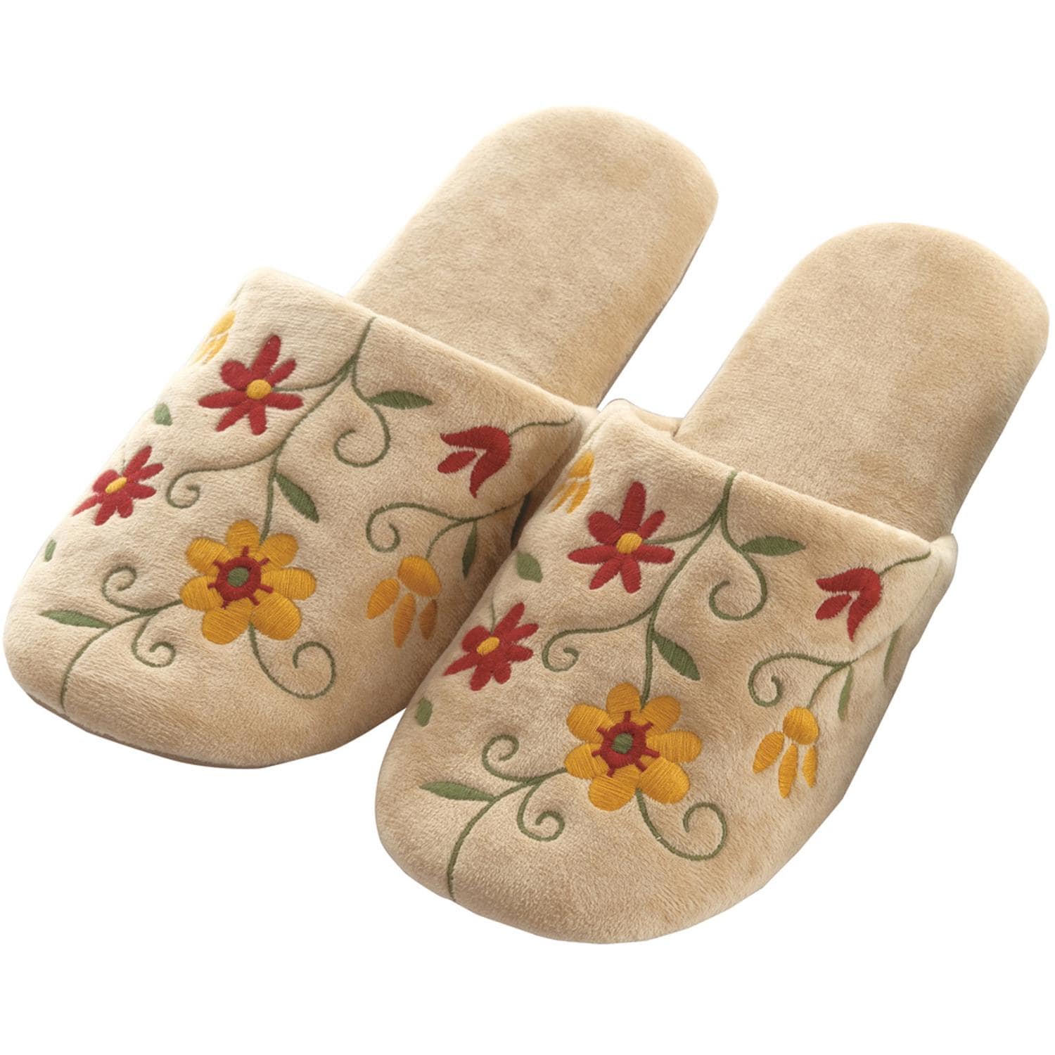 [}C]Vr Xbp/obN[ht@~[iBACKYARD FAMILYj t[K[f.x[W