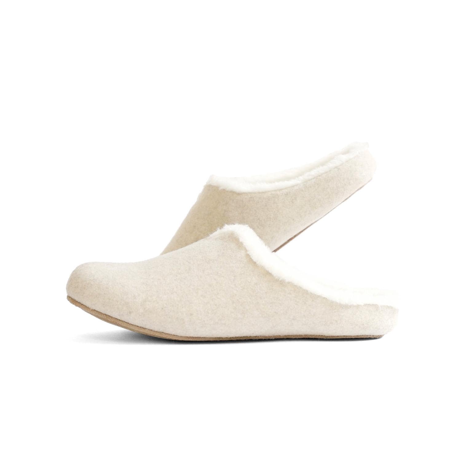 [}C]rooms Sheep [Y [V[Y/obN[ht@~[iBACKYARD FAMILYj Ivory