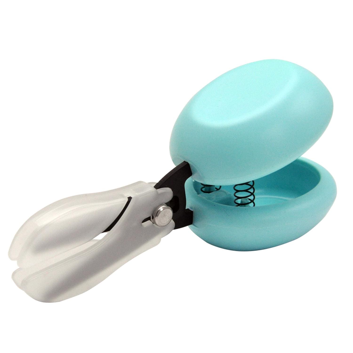 [}C]S͂ Casta JX^/obN[ht@~[iBACKYARD FAMILYj u[