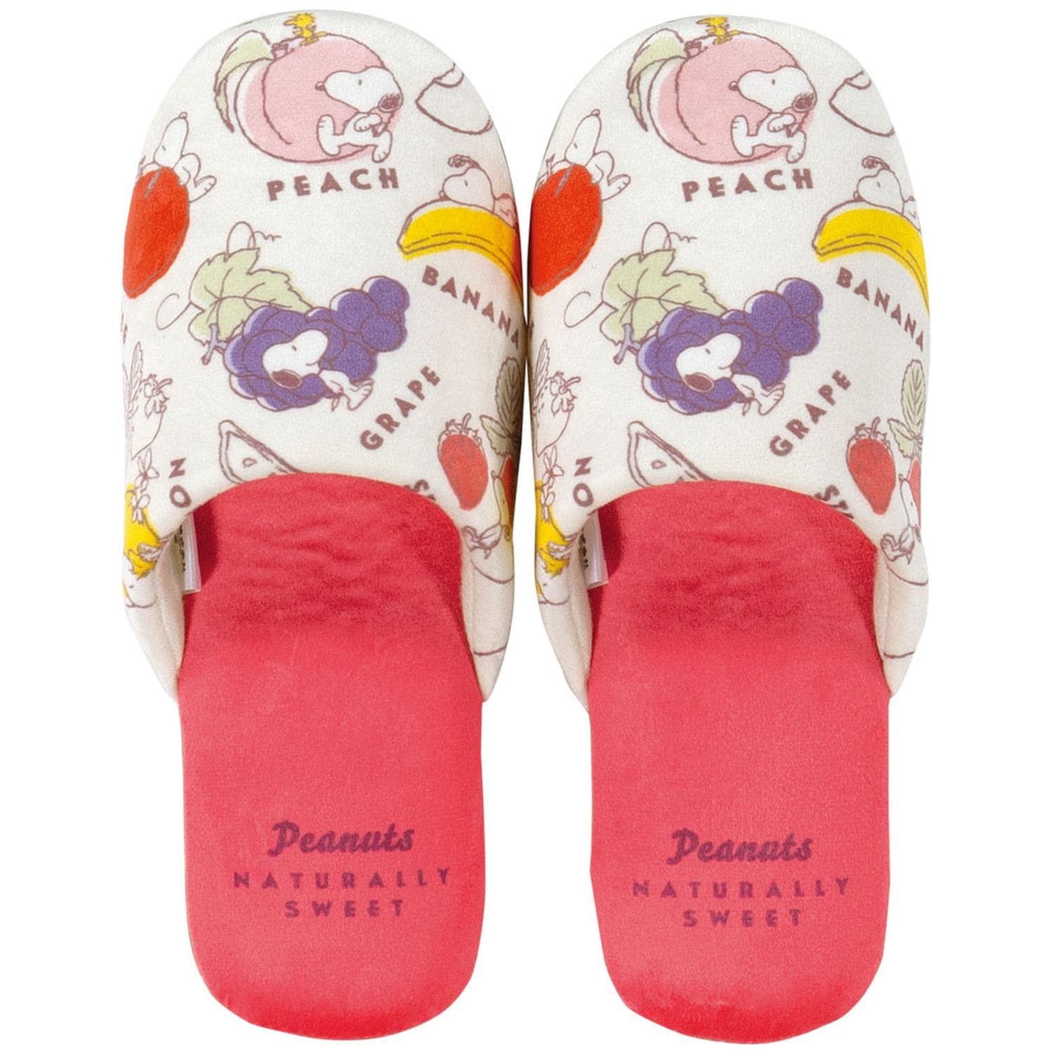 [}C]LN^[ Xbp/obN[ht@~[iBACKYARD FAMILYj tbVt[c/bh