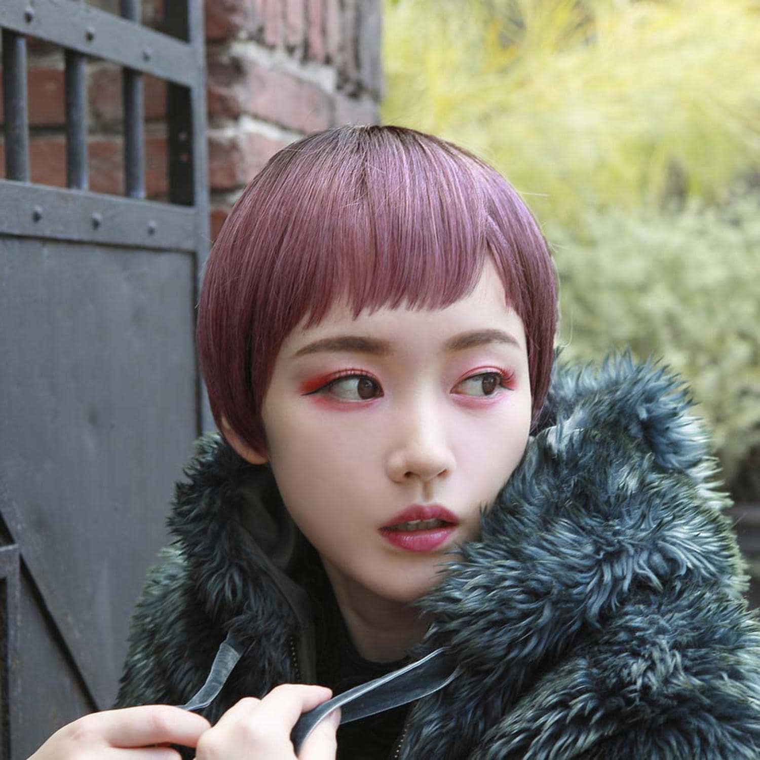 [}C]vV I[EBbO Of nTV[g A-104/obN[ht@~[iBACKYARD FAMILYj CTDP/ϔM_[Nv