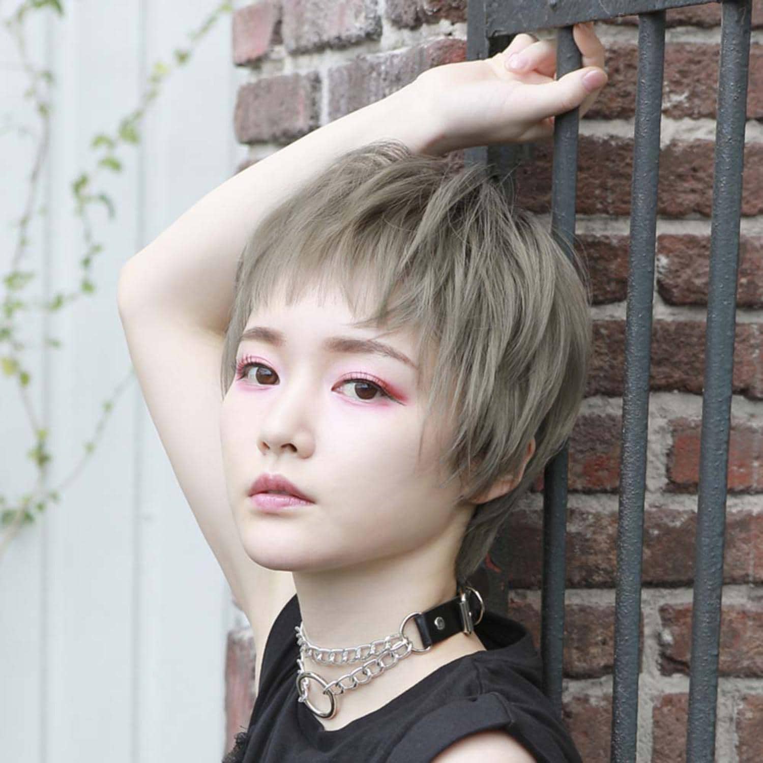 [}C]vV I[EBbO Of nTV[g A-104/obN[ht@~[iBACKYARD FAMILYj CTOG/ϔMI[uO[