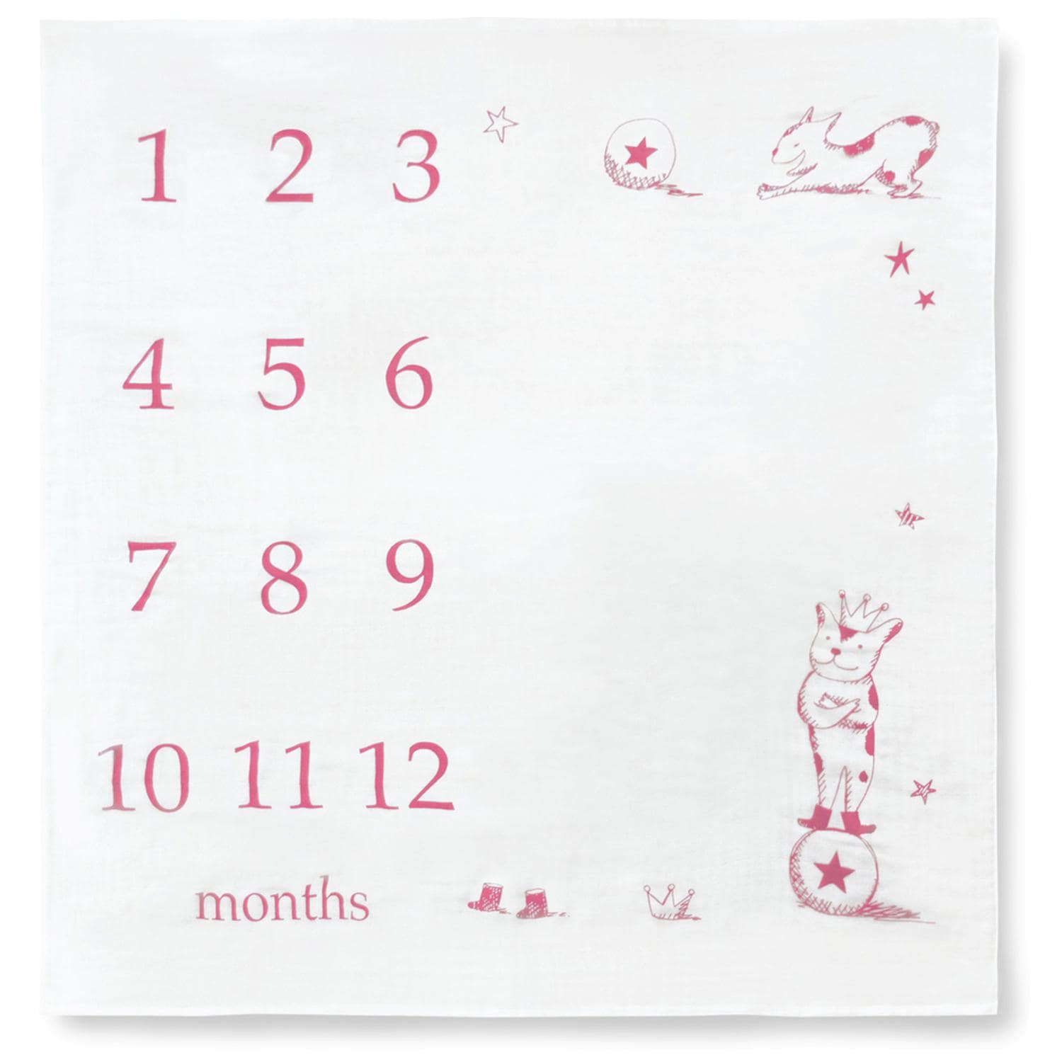 [}C]3dK[[Pbg io[hbO/obN[ht@~[iBACKYARD FAMILYj x[bh