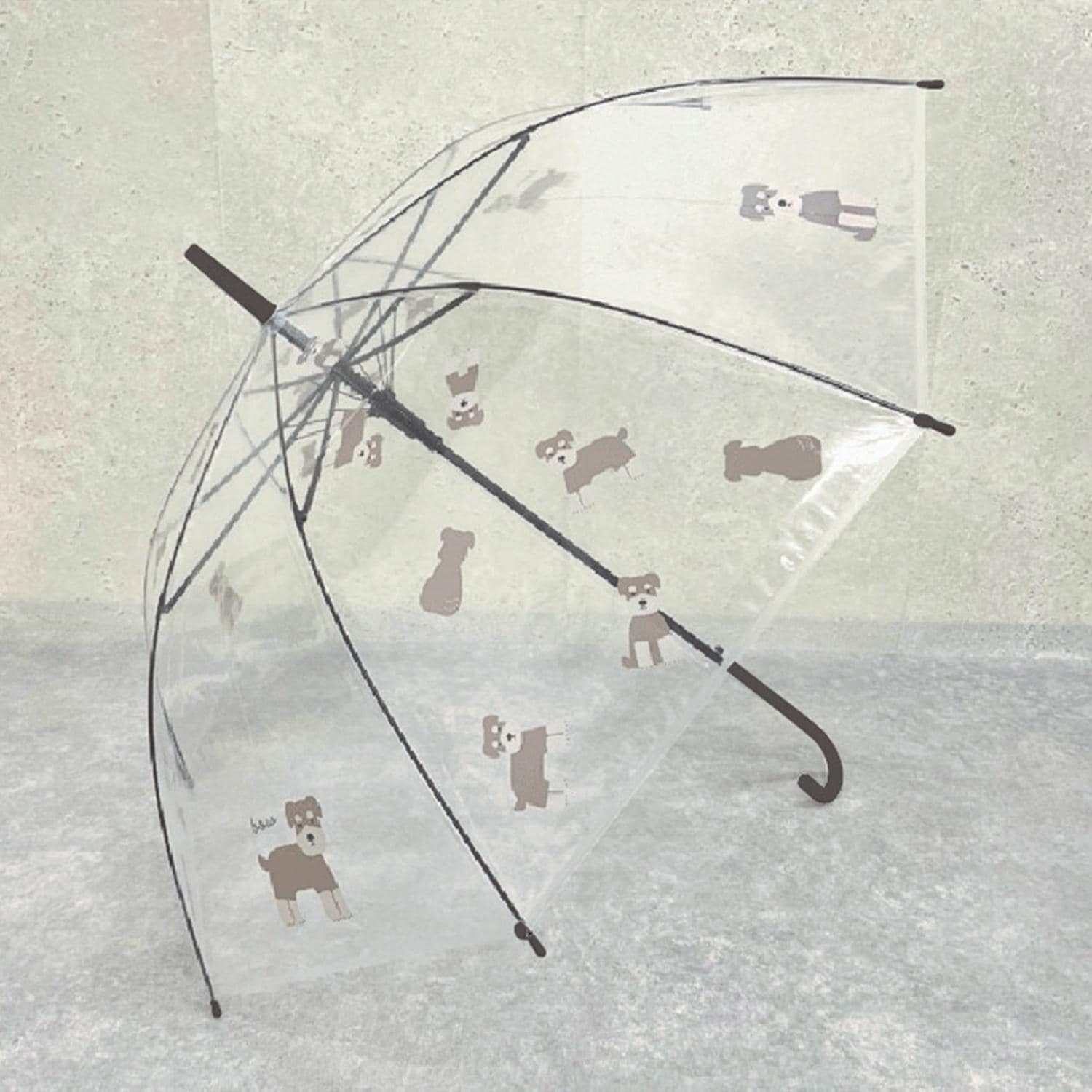 [}C]Aj}rj[P/obN[ht@~[iBACKYARD FAMILYj ViEU[