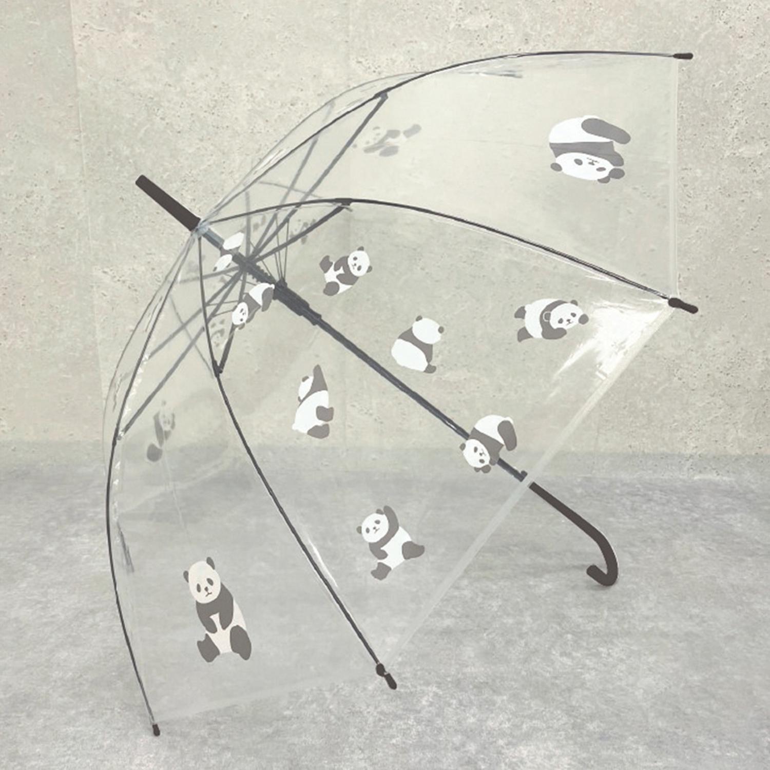 [}C]Aj}rj[P/obN[ht@~[iBACKYARD FAMILYj _p_