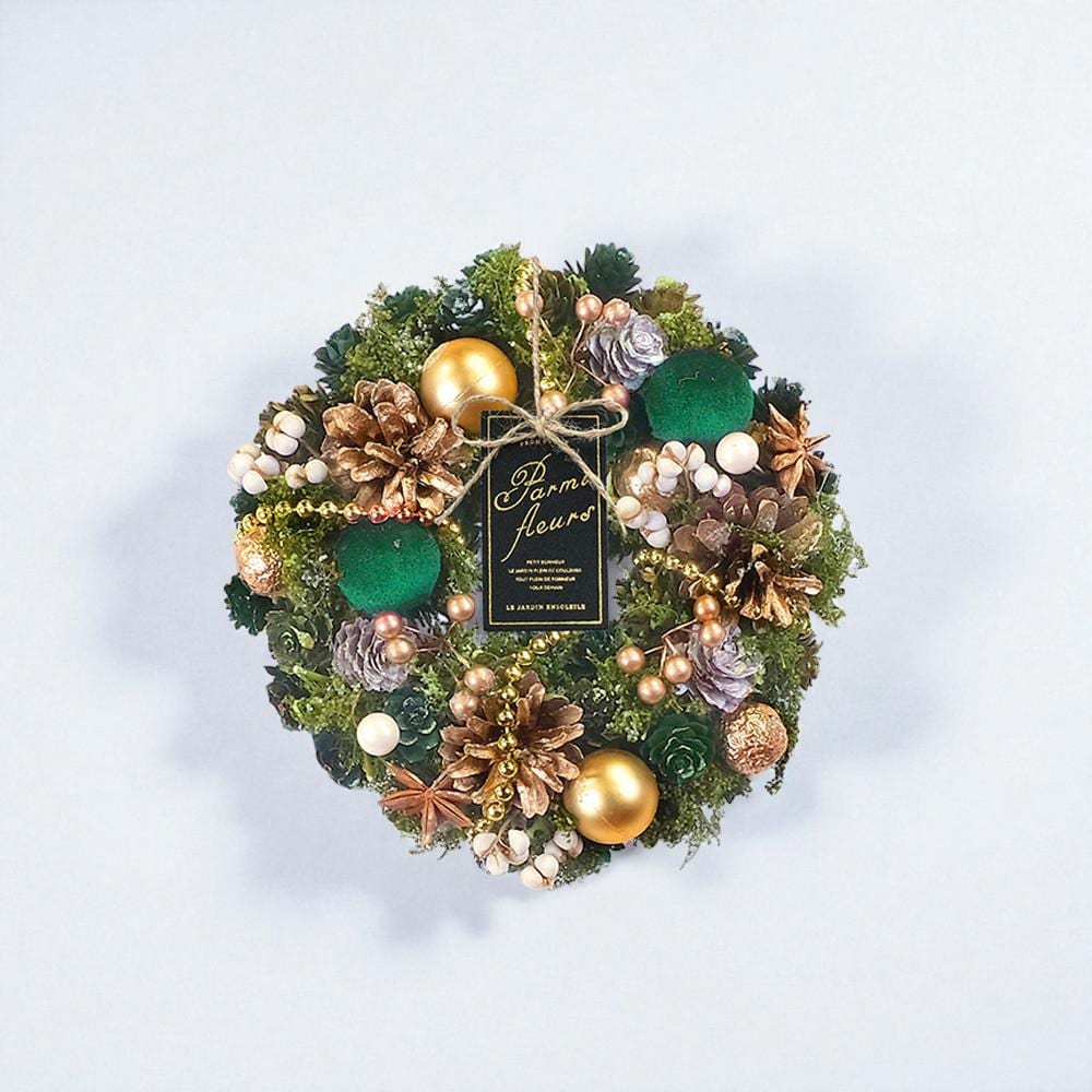 [}C]i`[X S/obN[ht@~[iBACKYARD FAMILYj [KO[