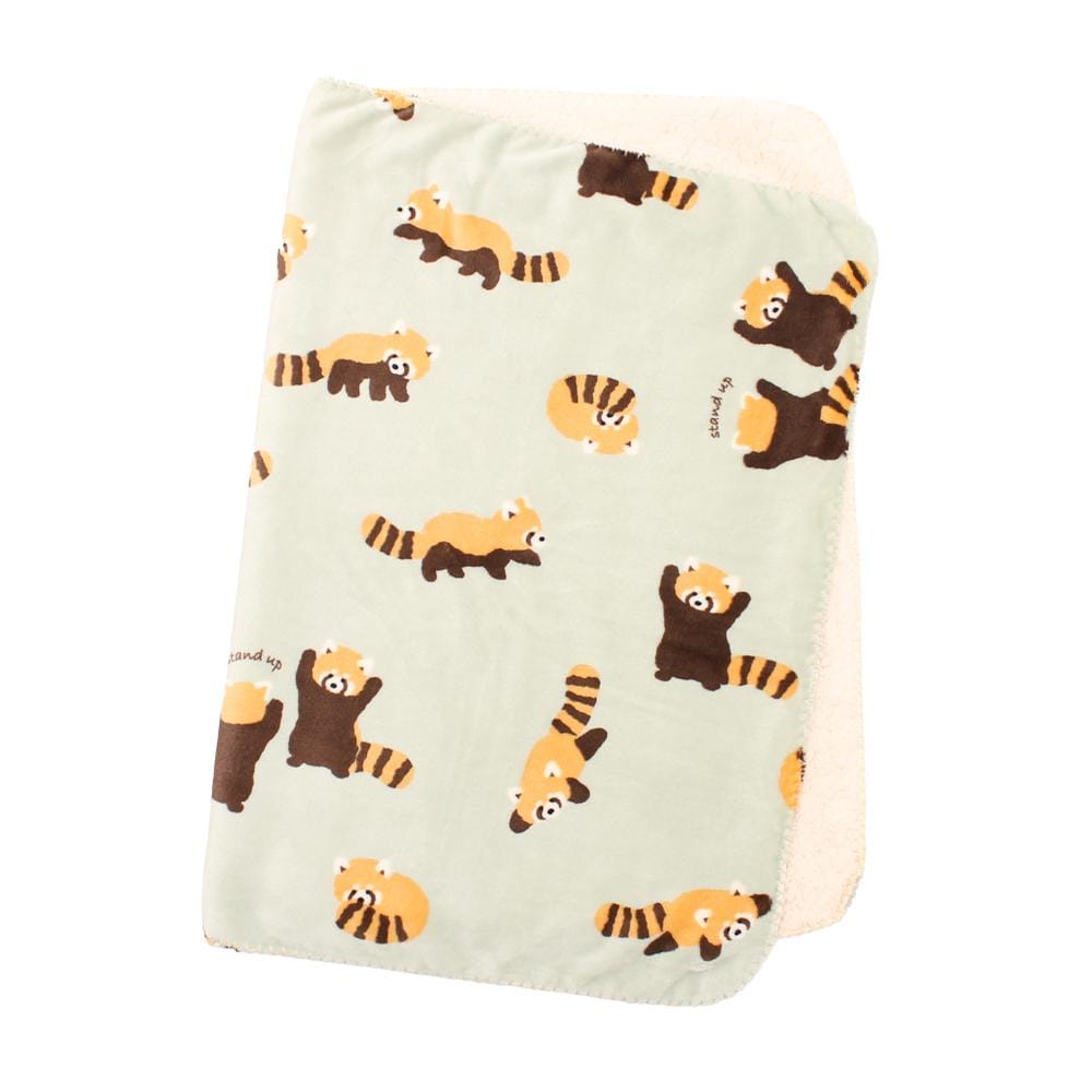 [}C]Xl3WAYЂ|/obN[ht@~[iBACKYARD FAMILYj bT[p_/~g