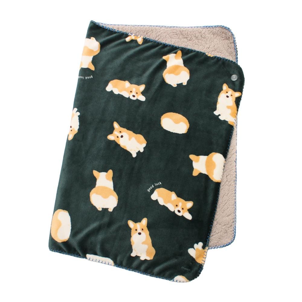 [}C]Xl3WAYЂ|/obN[ht@~[iBACKYARD FAMILYj R[M[/O[