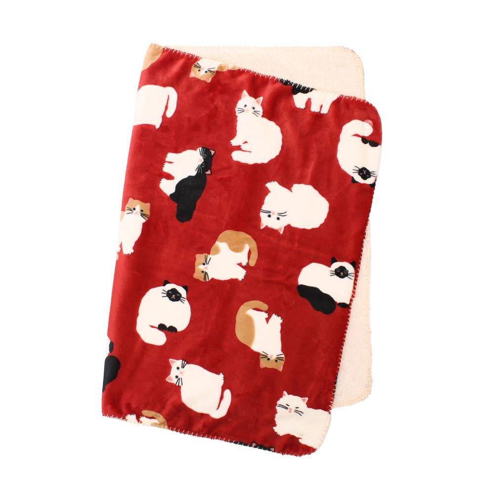 [}C]Xl3WAYЂ|/obN[ht@~[iBACKYARD FAMILYj lR/C