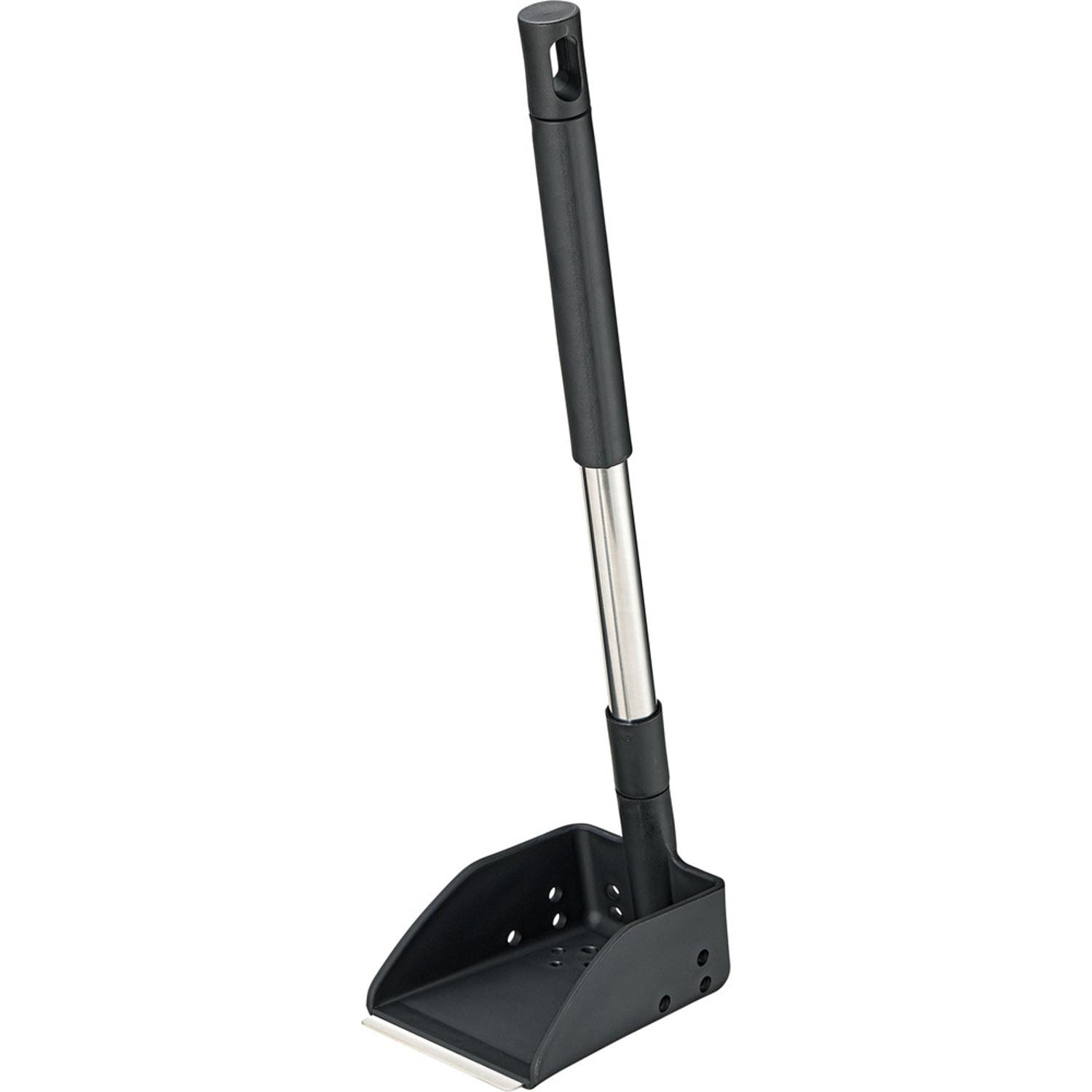 [}C]LkhグVx/obN[ht@~[iBACKYARD FAMILYj ubN