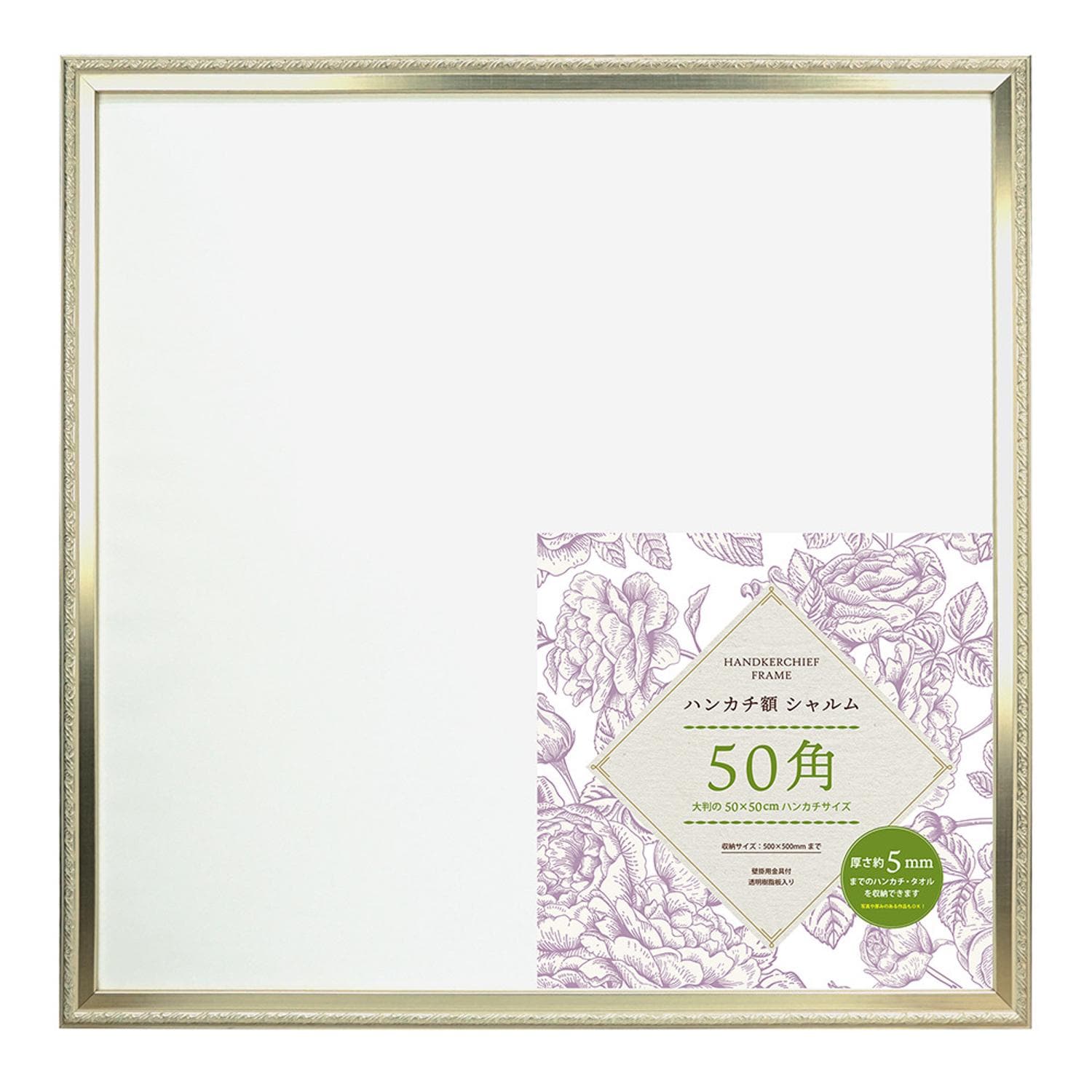 [}C]nJ`z V 50p/obN[ht@~[iBACKYARD FAMILYj SL