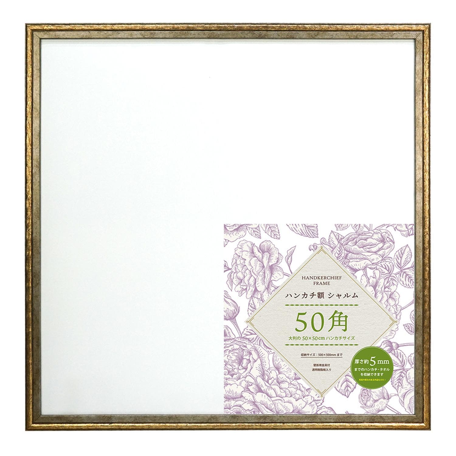 [}C]nJ`z V 50p/obN[ht@~[iBACKYARD FAMILYj DGD