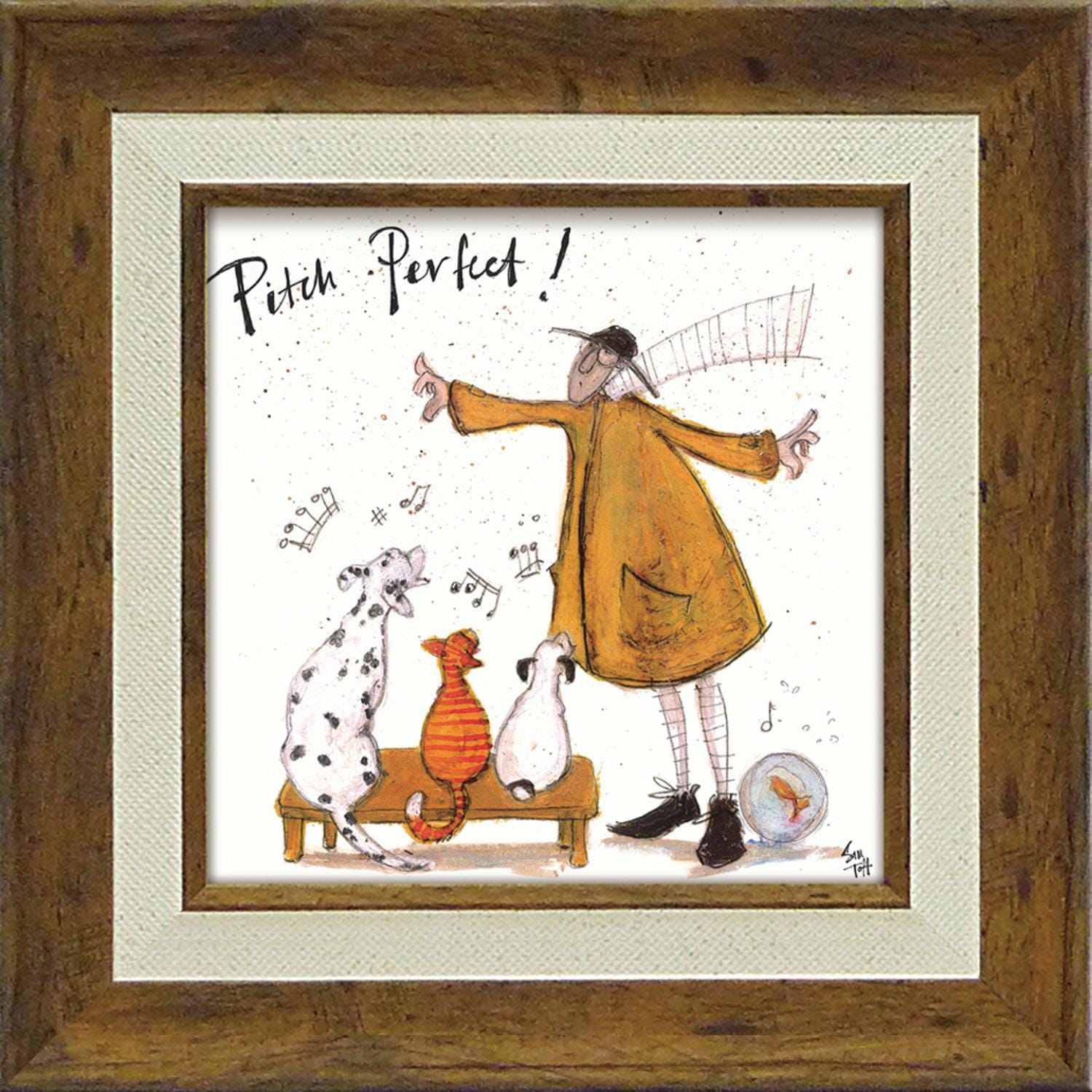 [}C]SamToft Tgtg A[g|X^[/obN[ht@~[iBACKYARD FAMILYj p[tFNgI