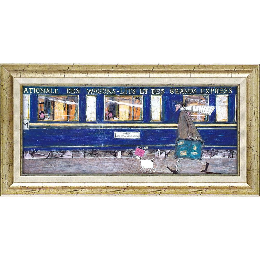 [}C]SamToft Tgtg A[gt[ M/obN[ht@~[iBACKYARD FAMILYj CPĂIGg}s