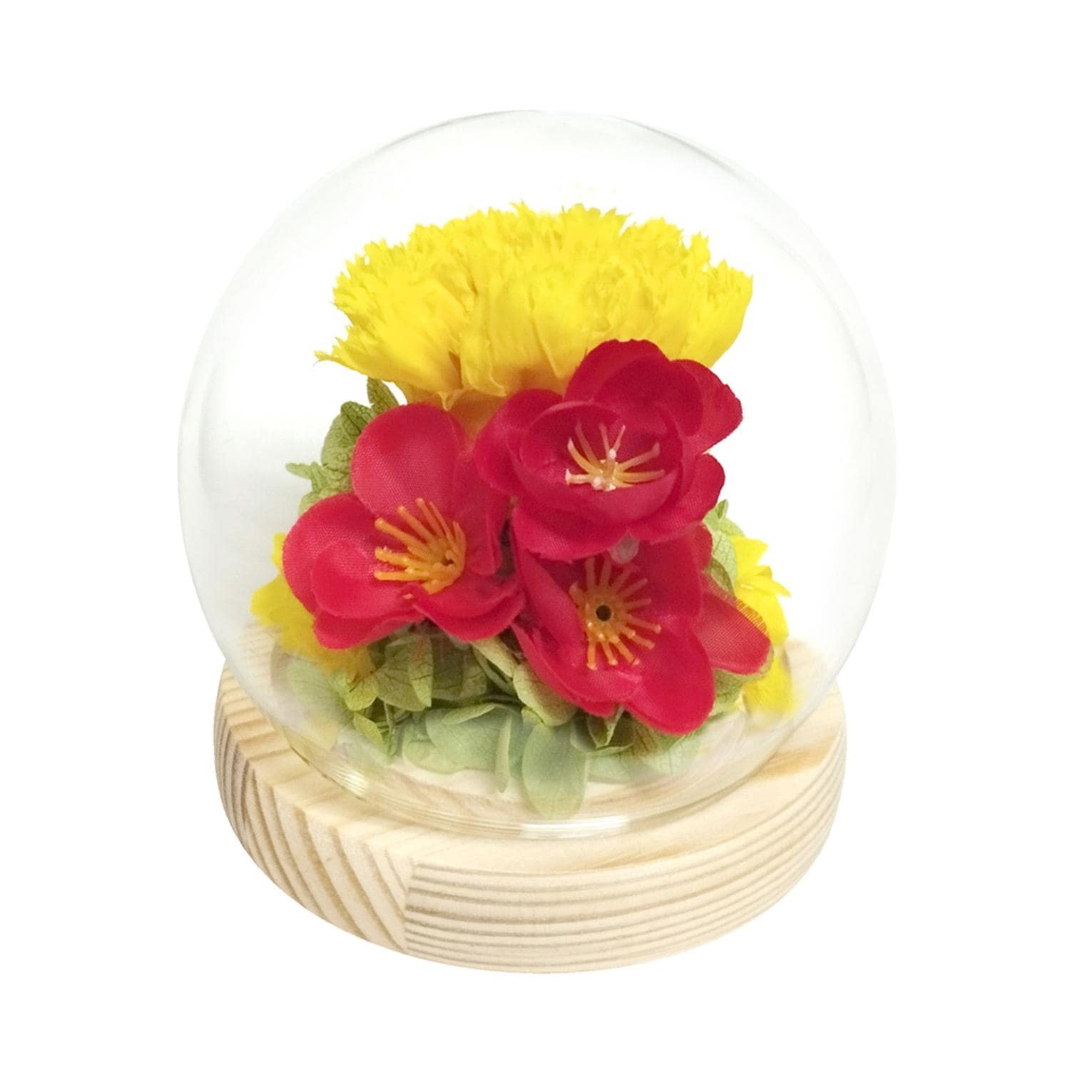 [}C] KXh[ lGƗ/obN[ht@~[iBACKYARD FAMILYj @