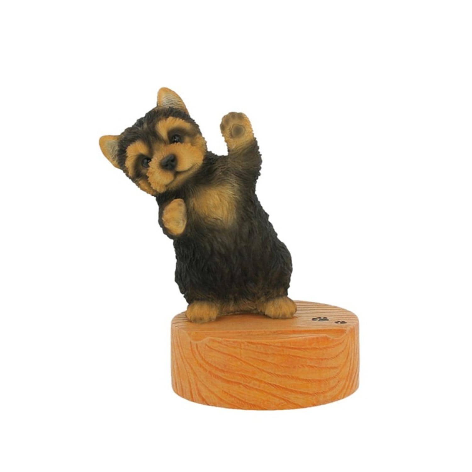 [�}���C]�X�}�z�X�^���h/�o�b�N���[�h�t�@�~���[�iBACKYARD FAMILY�j ���[�N�V���[