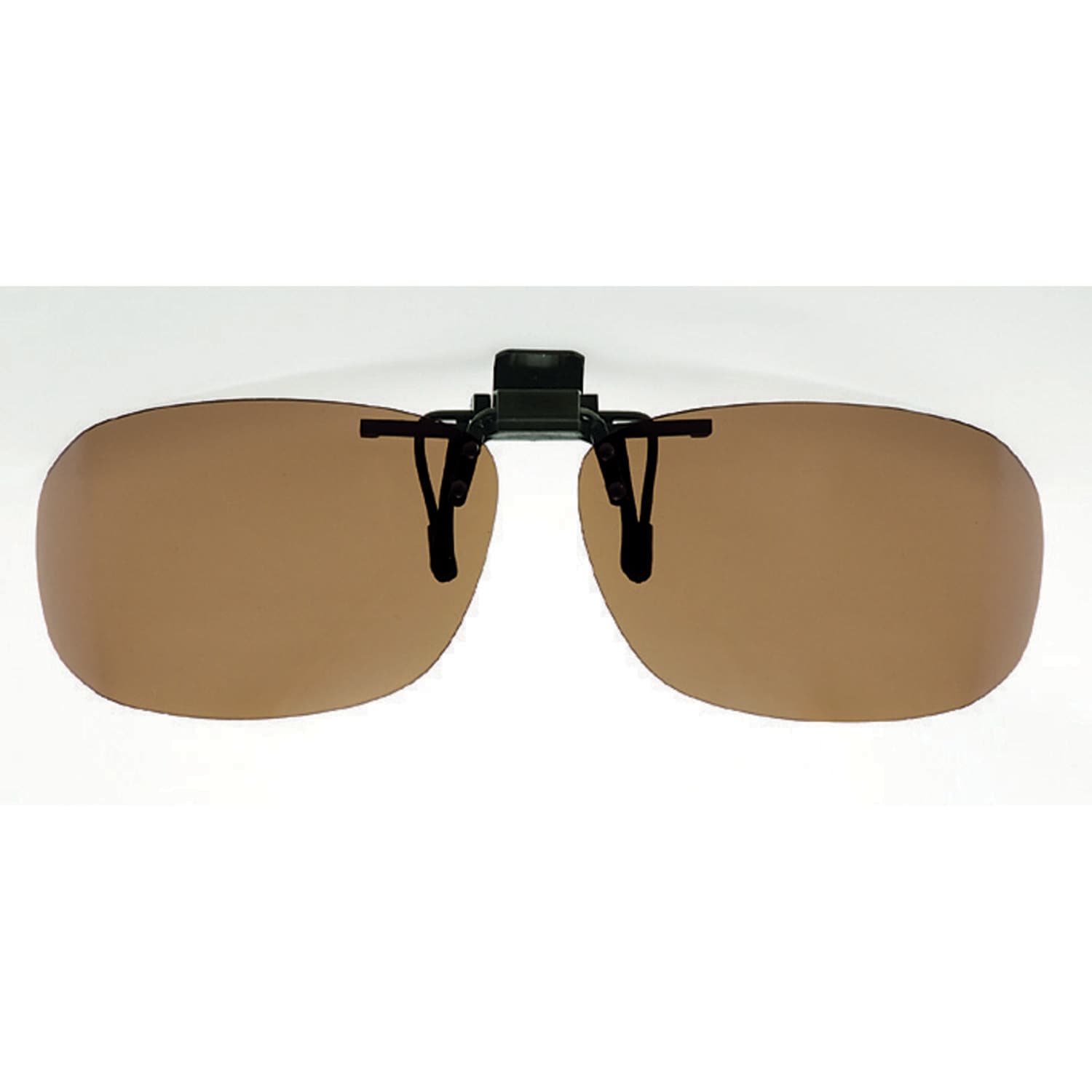 [}C]` TChJo[ GvR/obN[ht@~[iBACKYARD FAMILYj K^