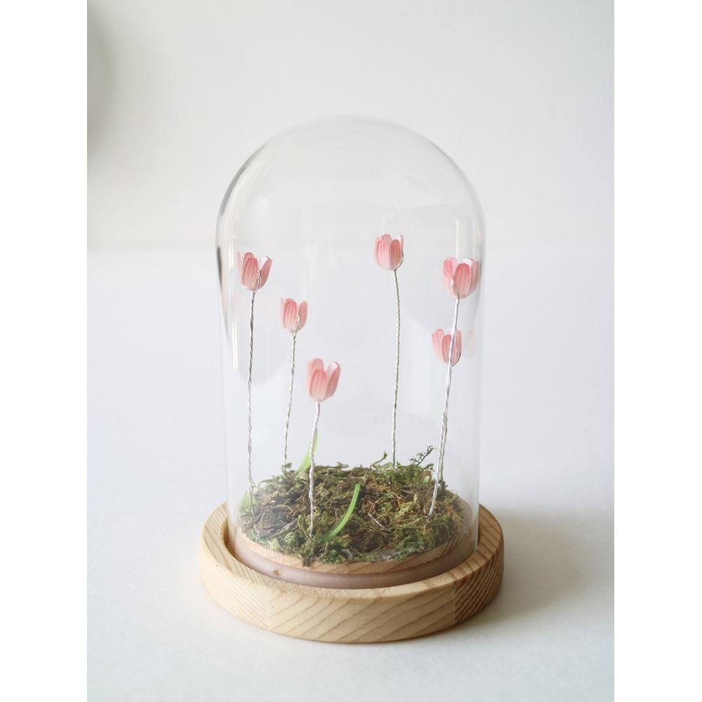 [}C]LUMO `[bvKXh[S/obN[ht@~[iBACKYARD FAMILYj N/sN