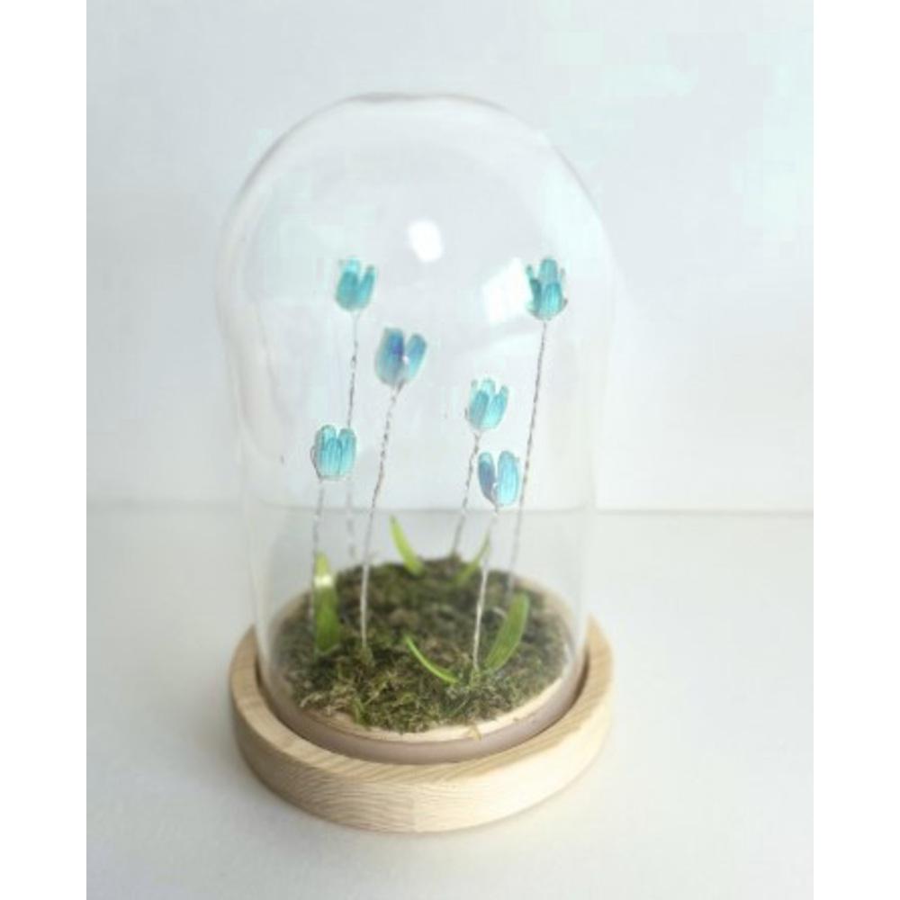 [}C]LUMO `[bvKXh[S/obN[ht@~[iBACKYARD FAMILYj N/u[