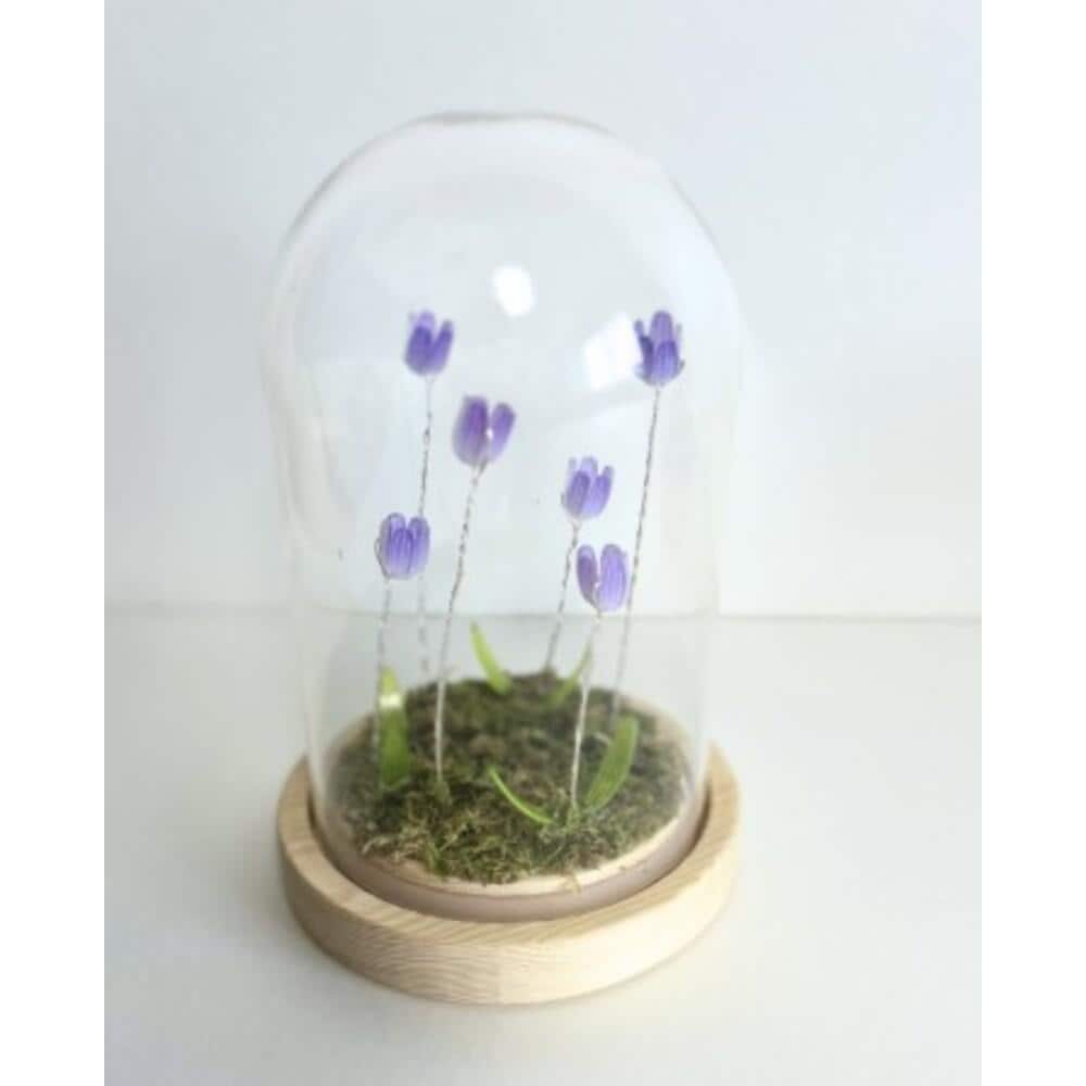 [}C]LUMO `[bvKXh[S/obN[ht@~[iBACKYARD FAMILYj N/p[v