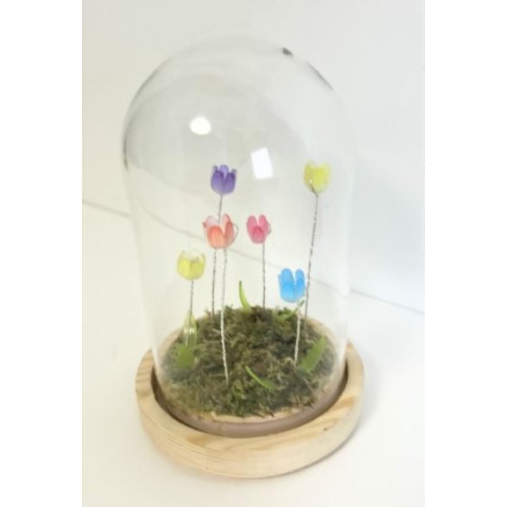 [}C]LUMO `[bvKXh[S/obN[ht@~[iBACKYARD FAMILYj N/~bNX