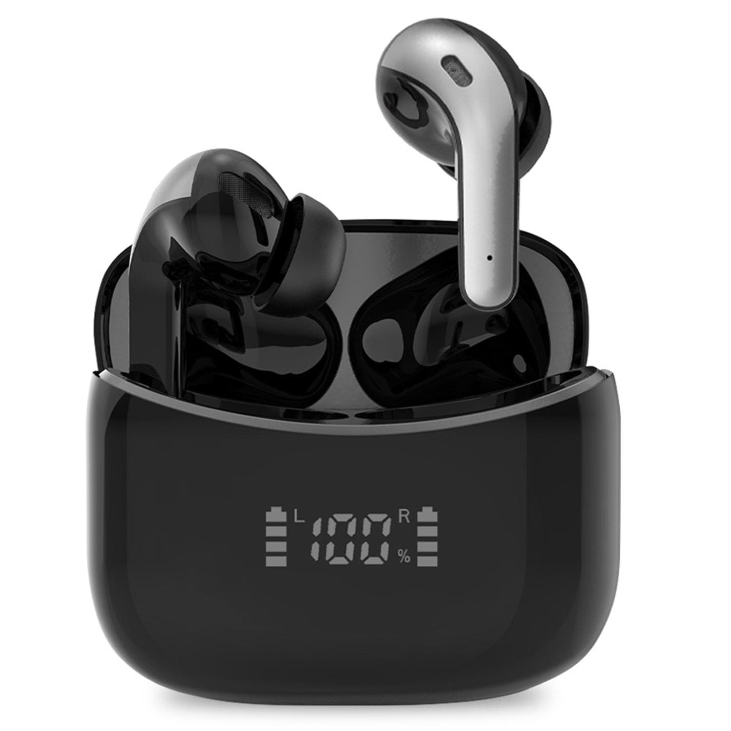 [}C]tCXCz Ԃ̃XjOɍœK ^b`/obN[ht@~[iBACKYARD FAMILYj ubN