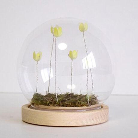 [^:lumoballs]yuhz LUMO([)yiz LUMO `[bvKX{[Sy[J[^ԁz yizyD₵̃CeAzDŁASق炵uLUMO `[bvKX{[SvByԂ̂ȃANZgɁzi`ȖؐɃKX{[Bɂ͎Rɍ炢Ă悤ȃ`[bv^CgyXCb`1őJ^z̃XCb`ŁAIEItؑցBDȃ^C~Oœ_ByꏊI΂ȂR[hX^Cvzʔ̒P4dr3{gpŁALEDdIAgpԂ͖72ԁBijgpԂ̖ڈ́Axgpdr̎ނɂقȂ܂Byhēy߂zs̓C[łłĂAɎ6{̃`[bvhByCgtĂȂԂłzɏƂ炳ƃKX̉ełAyݕ𐶂ݏoIuĂłOKBy؂ȕւ̑蕨ɂ߁z悢݊ȂA₷TCYBǂȕ͋ĈɂfGɃ}b`ByfށzLEDdAKXA؁AANAhCXAVR[yYz yTCYzyN/V[Yz[c]12cm^[]11.5cmy̑z[c]12cm^[]12cmTCY̓[J[\TCYłBۂ̏iƂ͑̌덷ꍇ܂B炩߂Bydʁz114gyӓ_zdr(P4dr3{)͕ʔłB舵̍ۂ́AipbP[WȂǂɋLڂĂi\AAeV^OAgp̒ӎȂǂKmFB{̖ړIȊOɂ͂gpɂȂȂŉBJ⃂j^[̐ɂA摜Ǝ̐F̈Ⴂꍇ܂̂ł肢܂BypV[zv[g 蕨 Mtg Ԃ zj V j jKXh[ t[ ʔ `[bv KX{[S LED KX h[  IuWF u u  킢 IV  LUMO [ LEDC~l[V CeACg Cg CeA