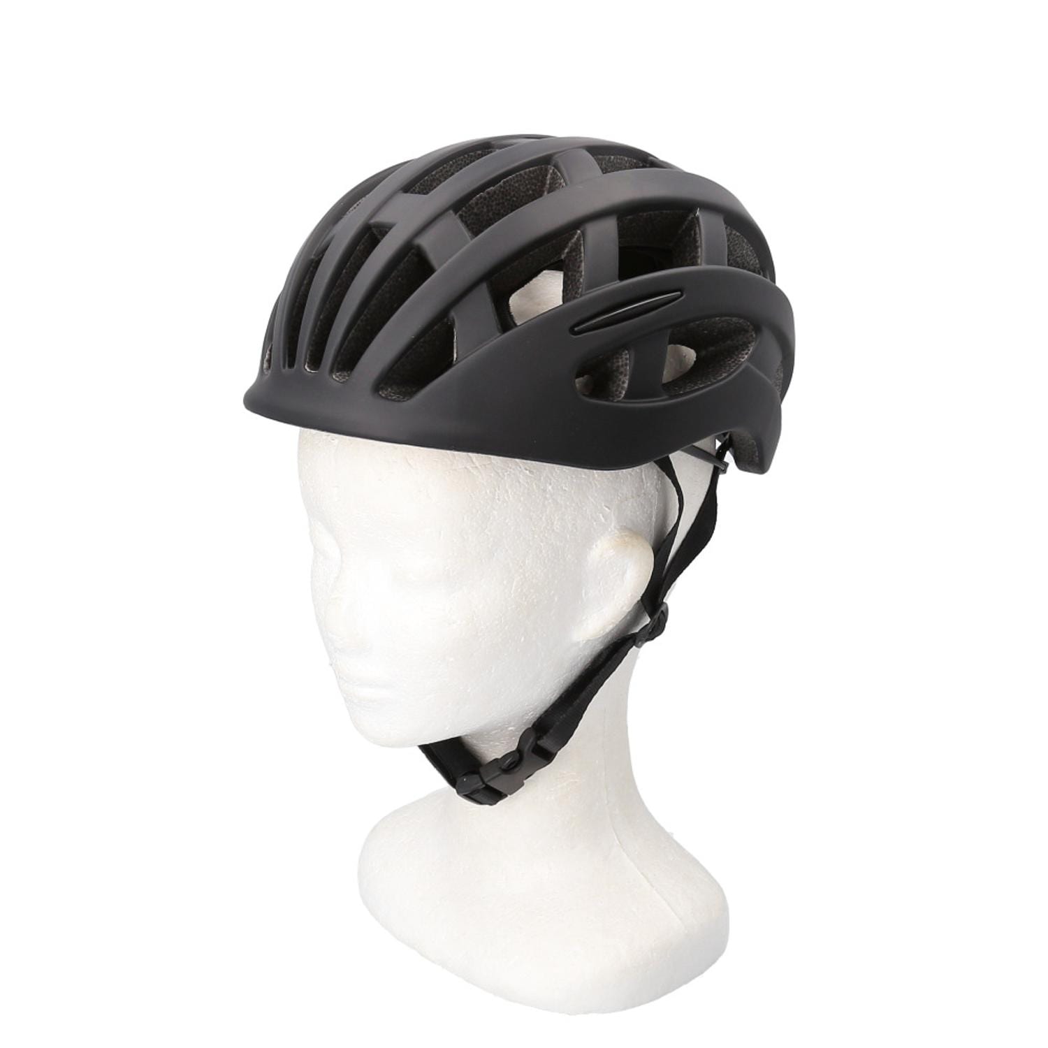 [}C]CHIARO lpwbg/obN[ht@~[iBACKYARD FAMILYj }bgubN