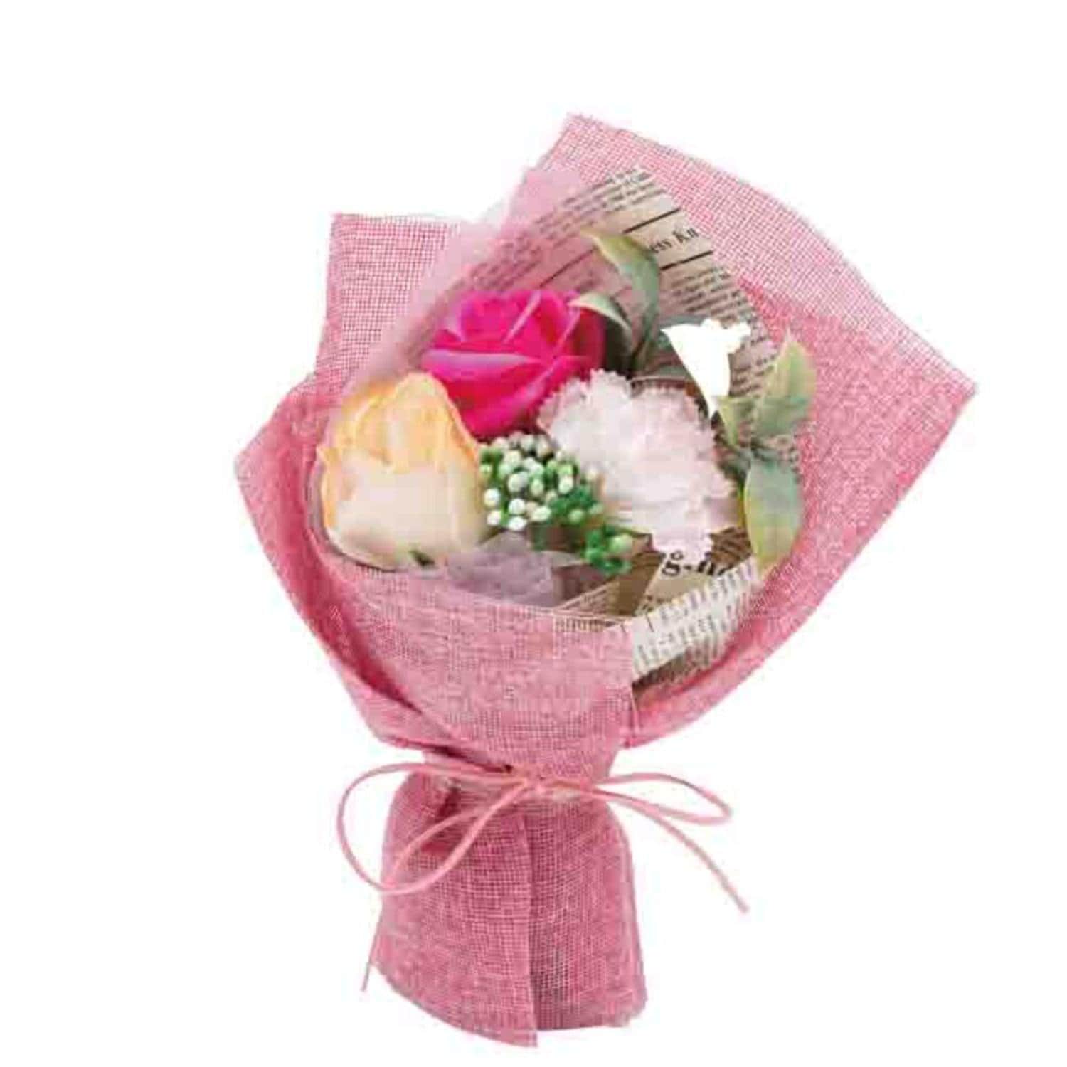 [}C]Jg[/obN[ht@~[iBACKYARD FAMILYj sN