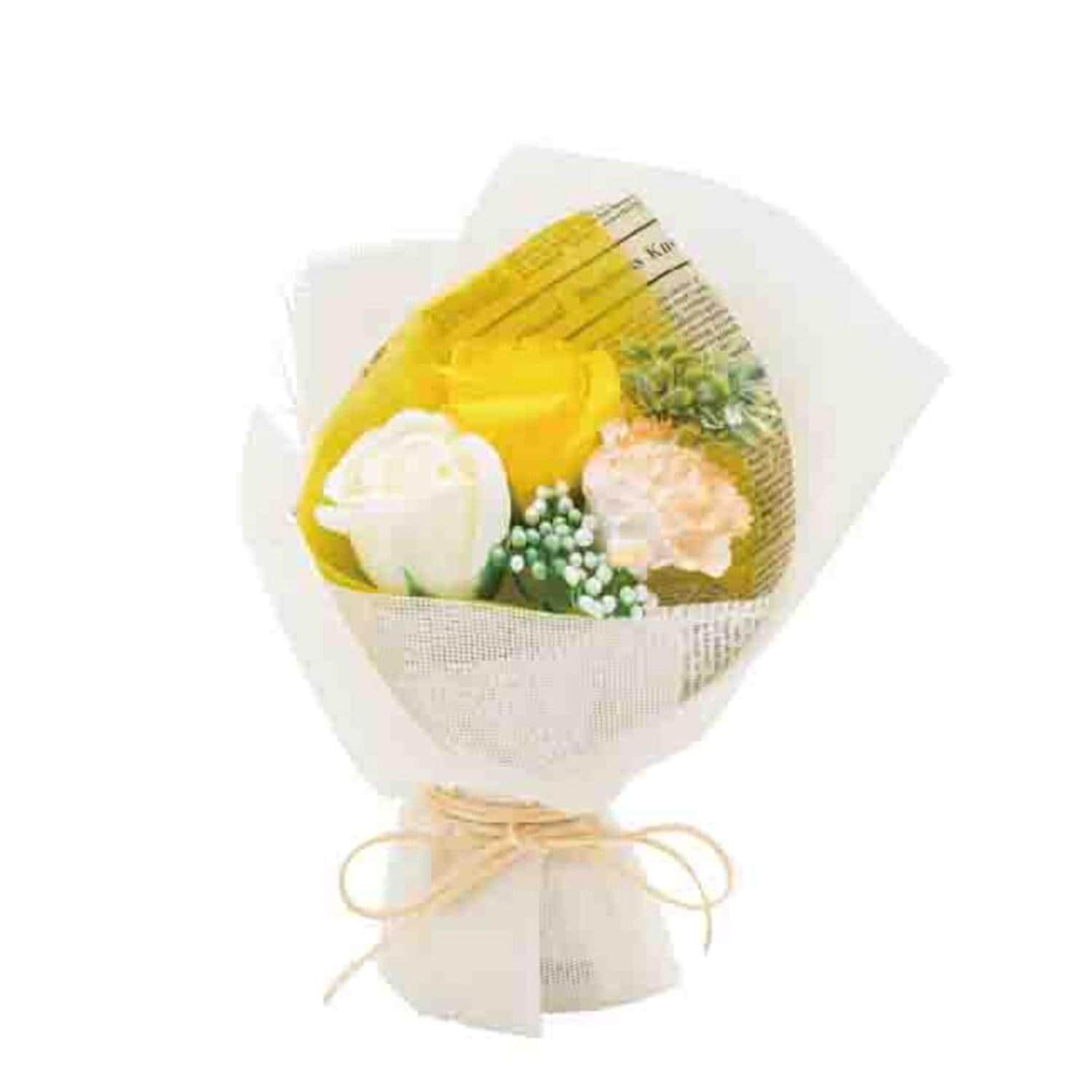 [}C]Jg[/obN[ht@~[iBACKYARD FAMILYj CG[