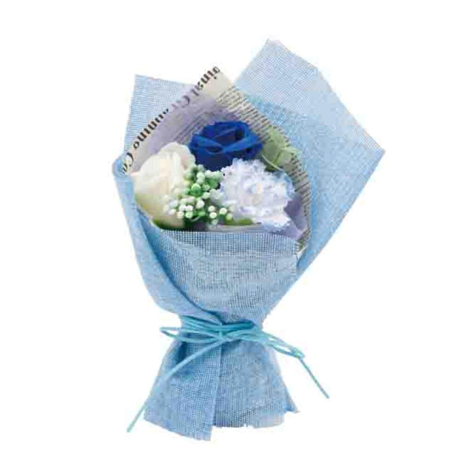 [}C]Jg[/obN[ht@~[iBACKYARD FAMILYj u[