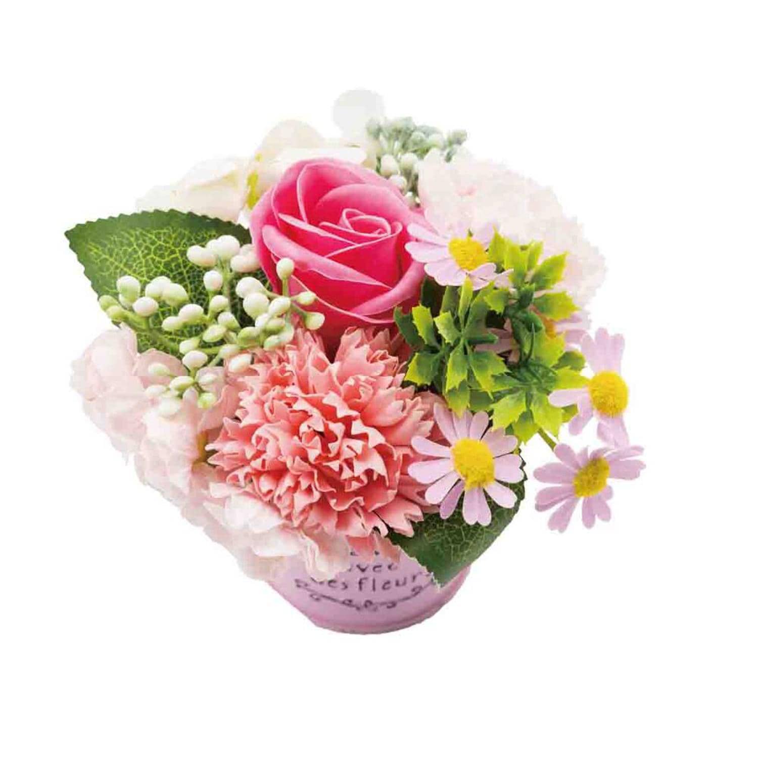 [}C]uLAW/obN[ht@~[iBACKYARD FAMILYj sN