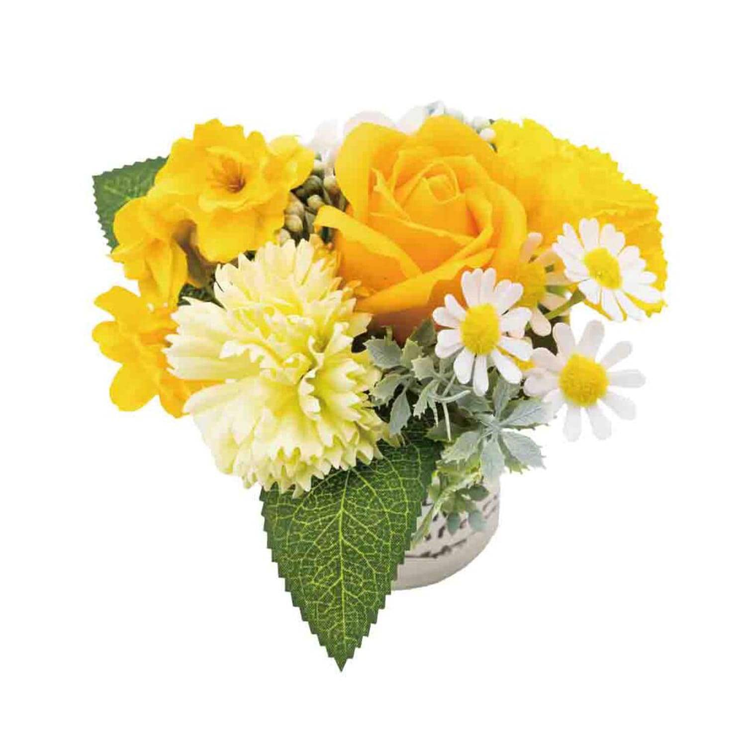 [}C]uLAW/obN[ht@~[iBACKYARD FAMILYj CG[