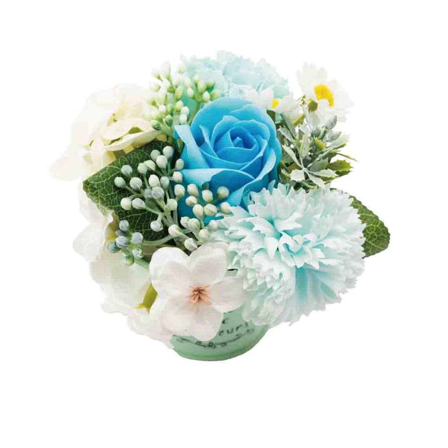 [}C]uLAW/obN[ht@~[iBACKYARD FAMILYj u[