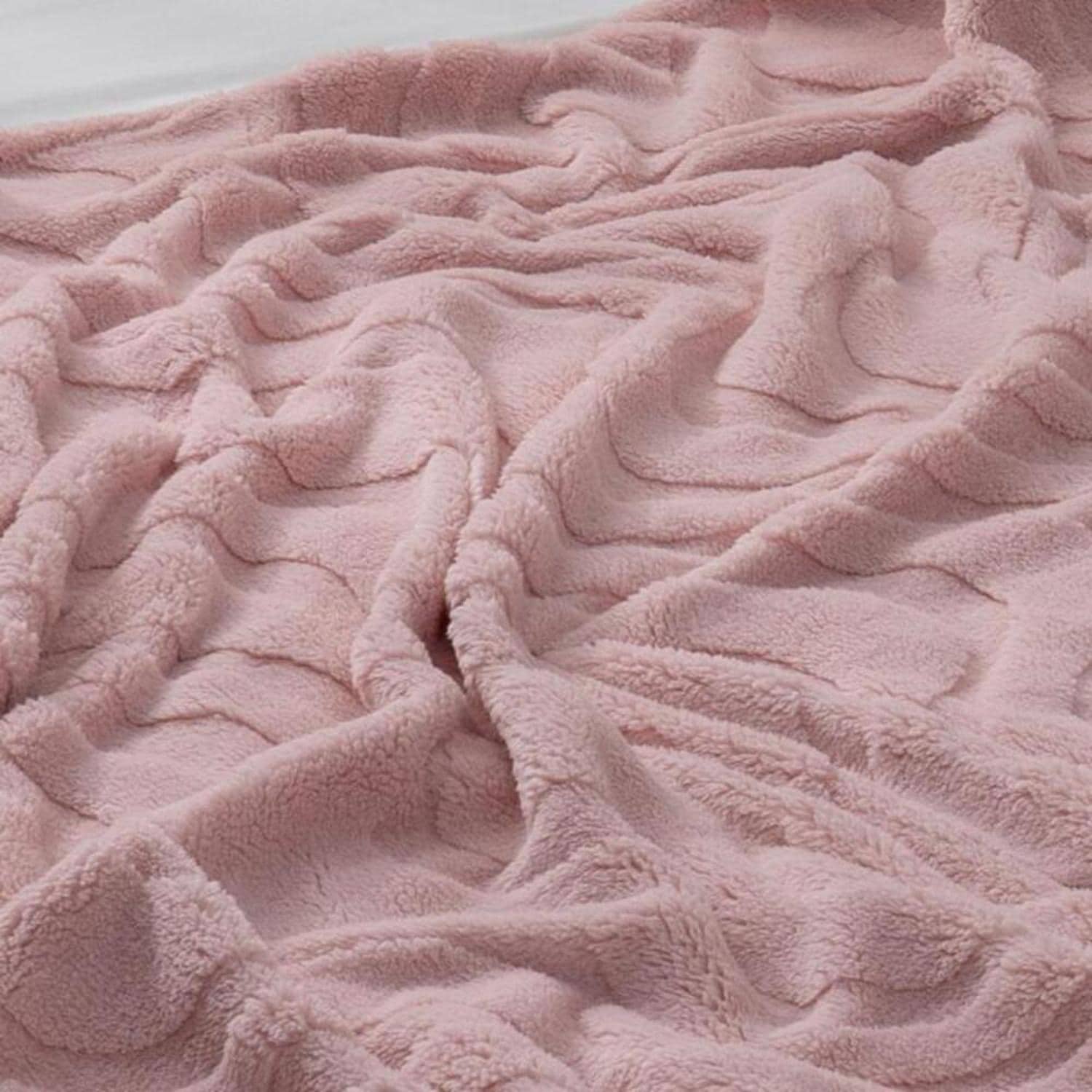 [}C]v~A}CNt@Co[ ̖͗lѕz rbOn[t/obN[ht@~[iBACKYARD FAMILYj [uPI