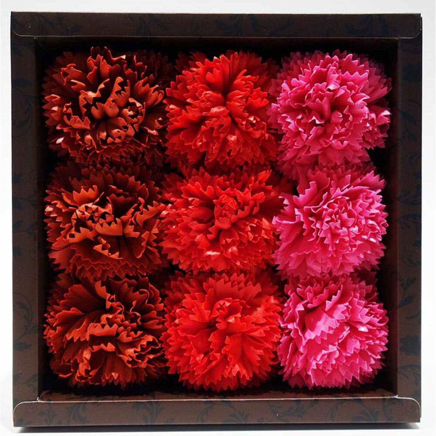 [�}���C]�t���O�����X/�o�b�N���[�h�t�@�~���[�iBACKYARD FAMILY�j �J�[�l�[�V�������b�h