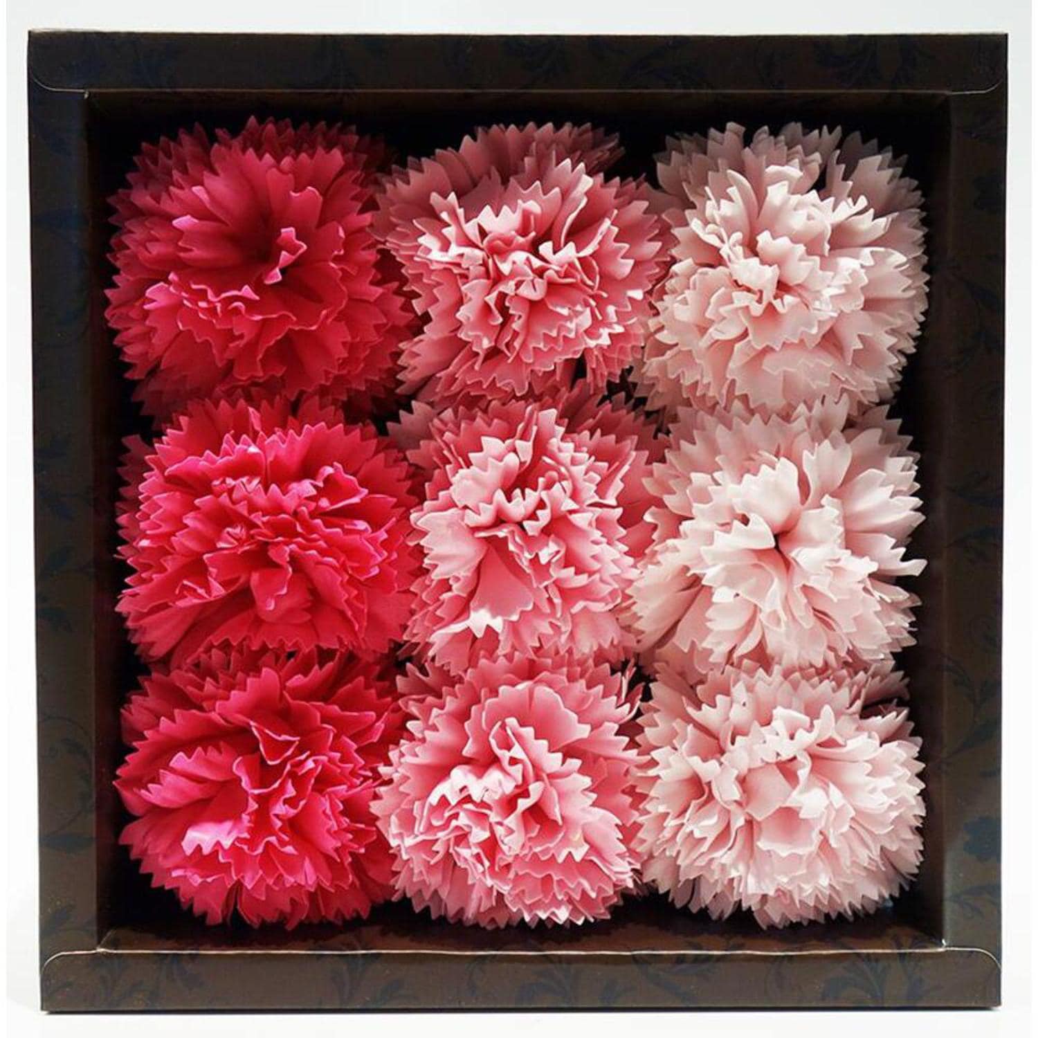 [�}���C]�t���O�����X/�o�b�N���[�h�t�@�~���[�iBACKYARD FAMILY�j �J�[�l�[�V�����s���N