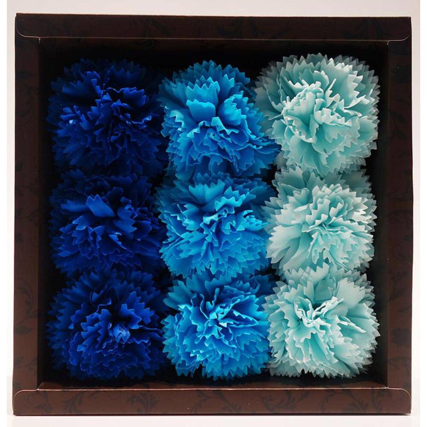 [�}���C]�t���O�����X/�o�b�N���[�h�t�@�~���[�iBACKYARD FAMILY�j �J�[�l�[�V�����u���[