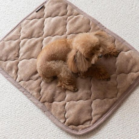 [^:trygoods40]yuhz TEREY(eB[A[C)yiz v~Atlybgpbh My[J[^ԁz yizdC炸ňSIlԂ̐QƓfނōv~Atlybg}bgy~ߕtłǂł~zzbgJ[ybgΉ̃{fBOHŃt[O͂AzbgJ[ybg⏰g@\̃tAɂΉBS̗͂Ńs^bƎ~߂̂ŁASzȂByddC̎gpȂS݌vzdCg킸ɁẢŒ~MۉBd̐SzȂASĎg݌vBy^`^TCY܂őΉzTCỸ񂩂A^TCỸ܂Ŏg4TCYWJBlRȀɂ߁By̐@Ő􂦂zꂪCɂȂOɁATbƐ@Ő􂦂yfށz\Fn߃tl170`205/m2A|GXe100%^F~߉H|W[A|GXe100% AWHlߕF|GXe100% A120/m2yYz yTCYz[c]35cm~[]50cmydʁz60gyӓ_zԓɂACARȂǂɂFFڂ肷邱Ƃ܂B舵̍ۂ́AipbP[WȂǂɋLڂĂi\AAeV^OAgp̒ӎȂǂKmFB{̖ړIȊOɂ͂gpɂȂȂŉBJ⃂j^[̐ɂA摜Ǝ̐F̈Ⴂꍇ܂̂ł肢܂BypV[zv[g 蕨 Mtg Ԃ zj V j jybgp pbh M ʔ p}bg ybgp}bg ybg}bg ybgpbh ybgppbh ~pbh }bg tl ΍ h΍ ybg   ~ ׂ~ 􂦂 炩 _炩 炩 ~ObY L ˂ lR