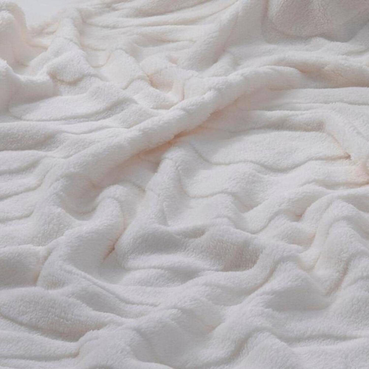 [}C]v~A}CNt@Co[ ̖͗lѕz VO/obN[ht@~[iBACKYARD FAMILYj [uIV