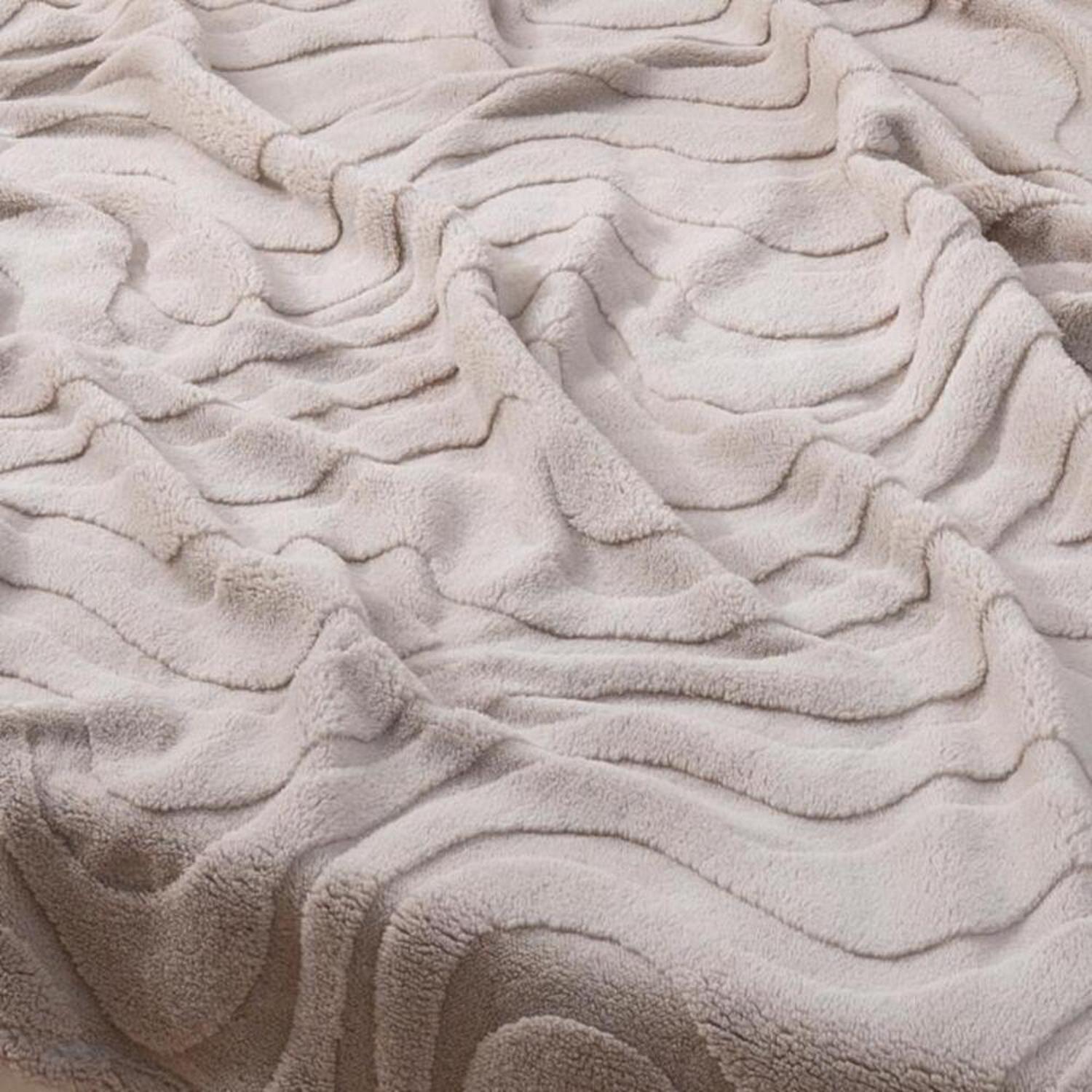 [}C]v~A}CNt@Co[ ̖͗lѕz VO/obN[ht@~[iBACKYARD FAMILYj [uBE