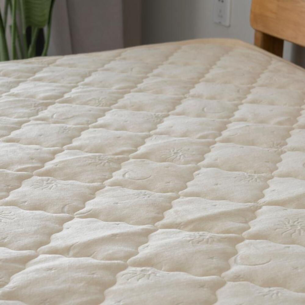 [}C]LgH~pbh }[KCG[ _u/obN[ht@~[iBACKYARD FAMILYj BE