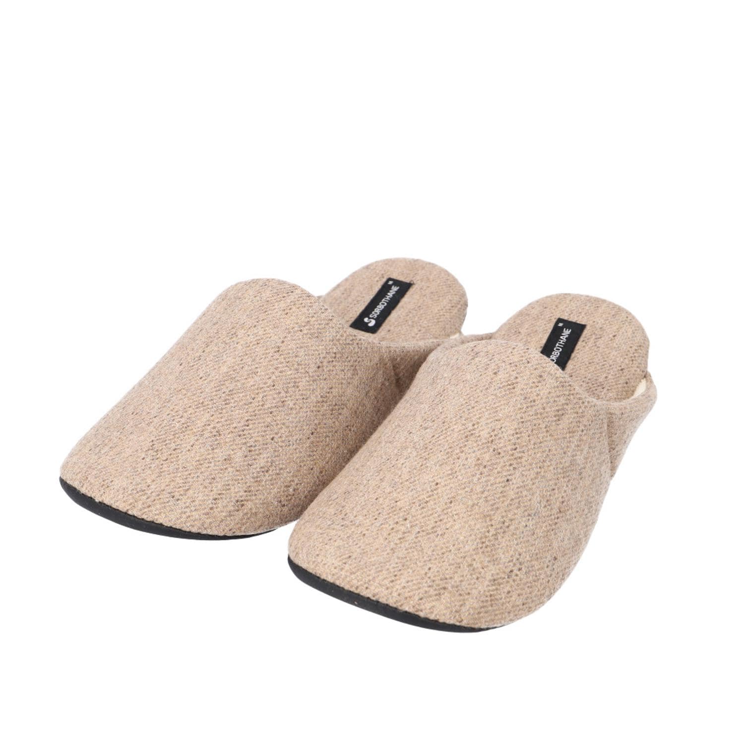 [}C]\{ SORBO \{Xbp/obN[ht@~[iBACKYARD FAMILYj CguE